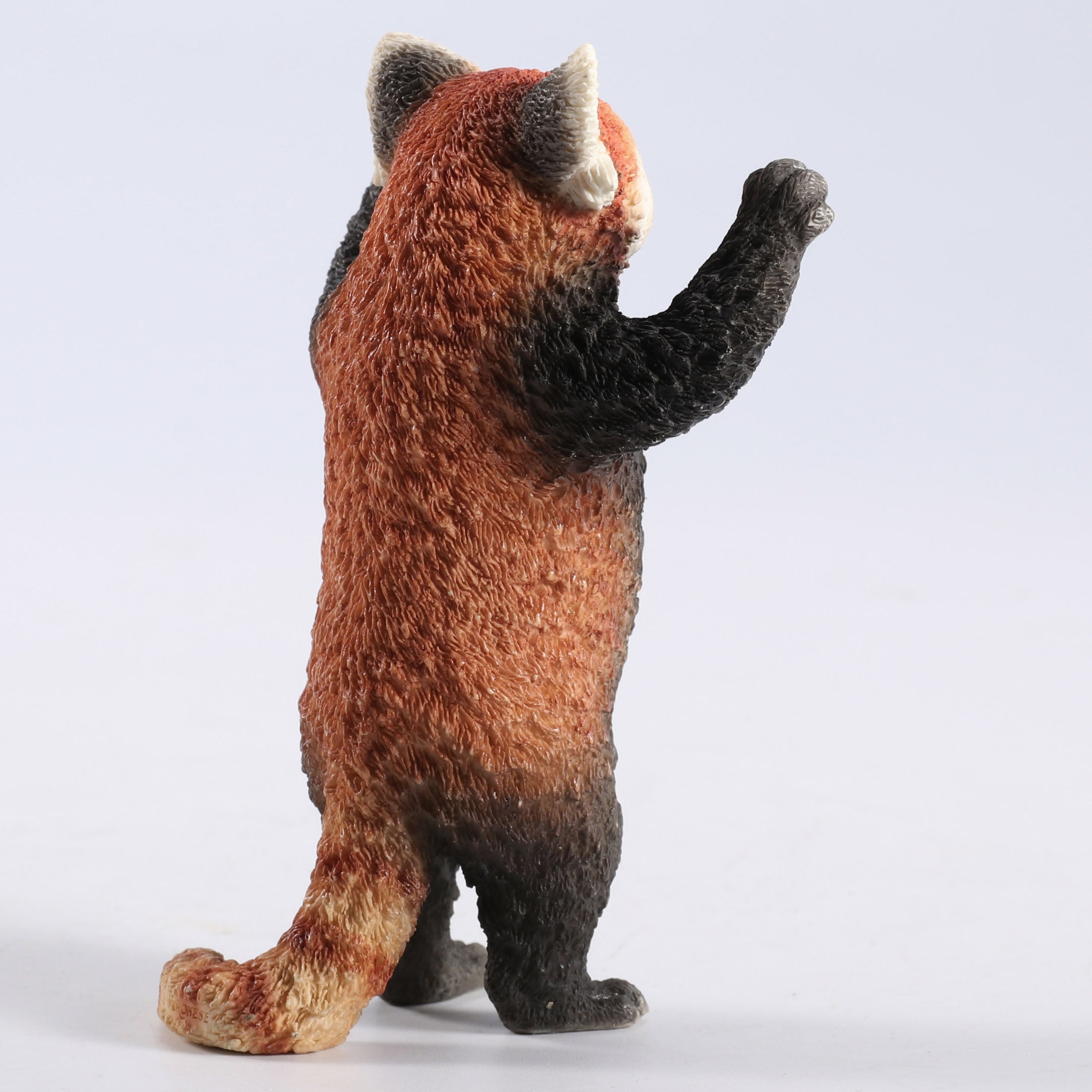 Red Panda Standing With Arms Up