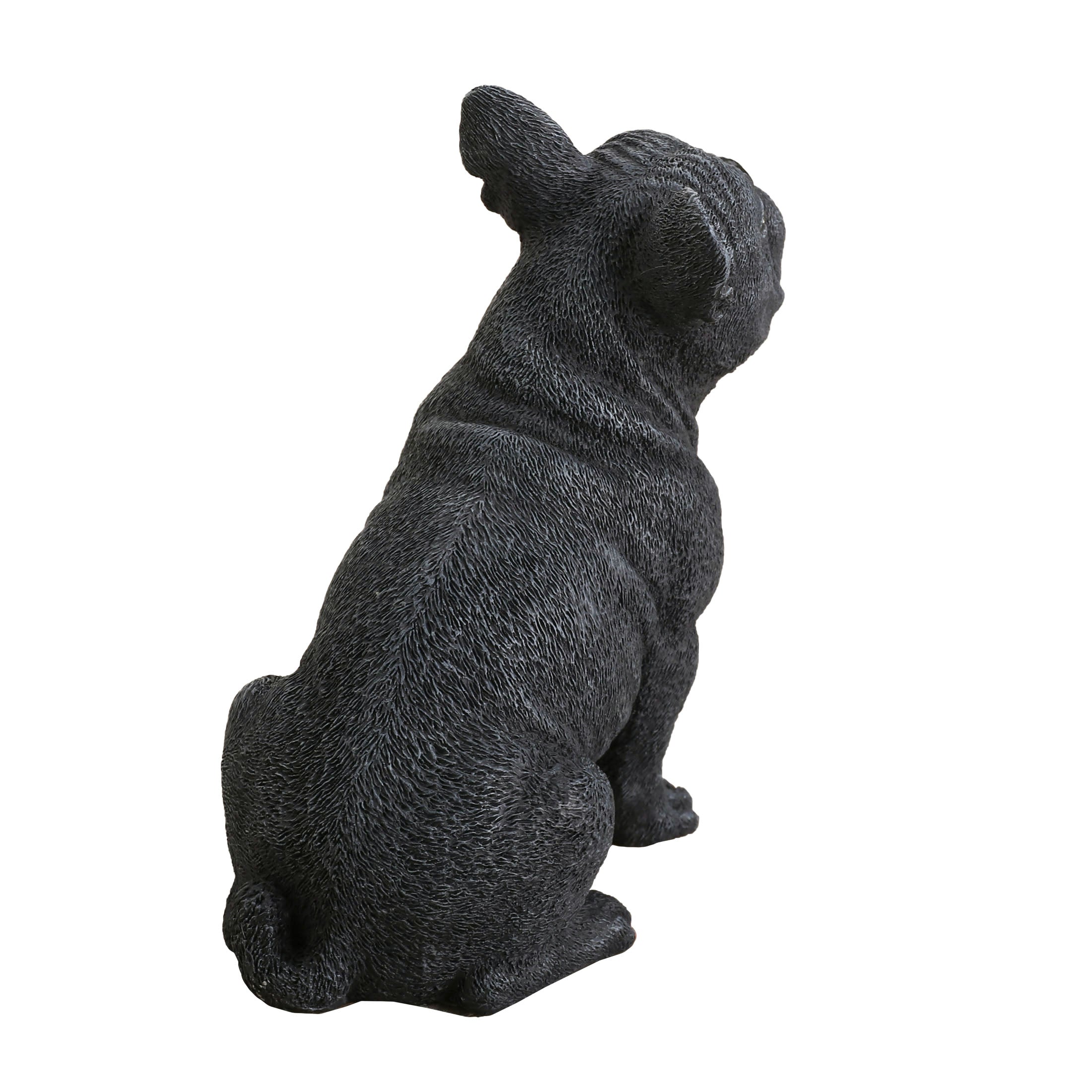 French Bulldog Sitting