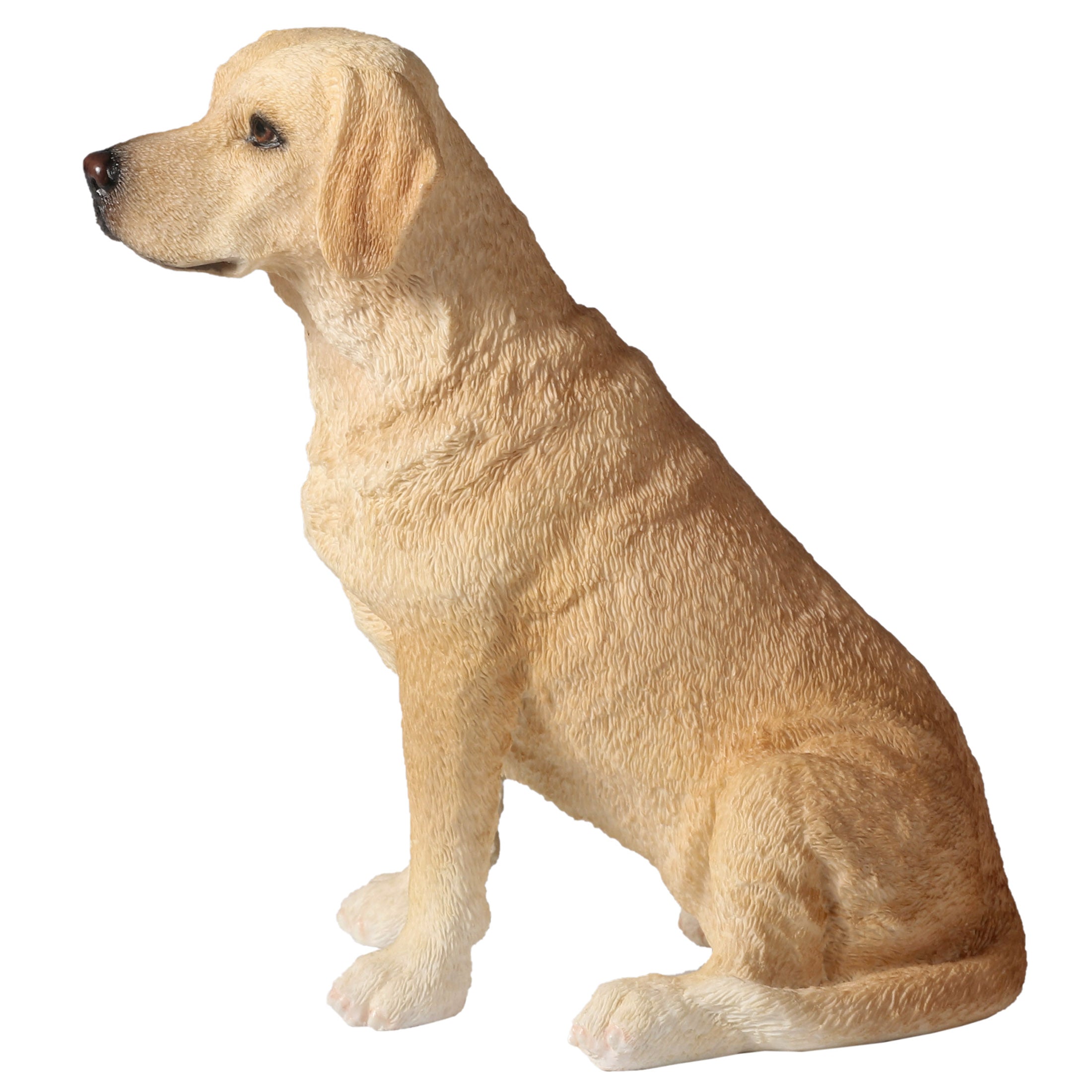 Sitting Labrador Retriever