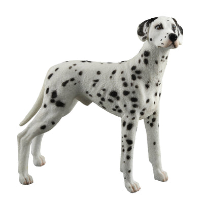 Dalmatian