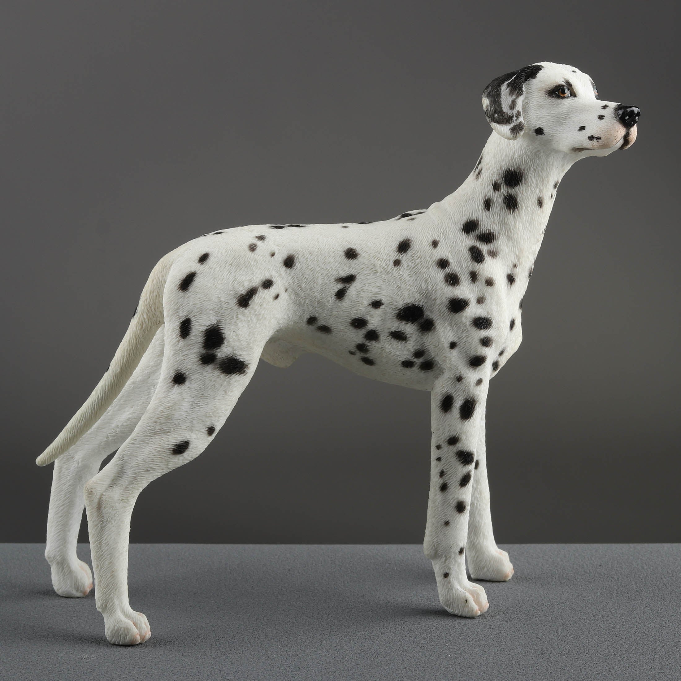 Dalmatian