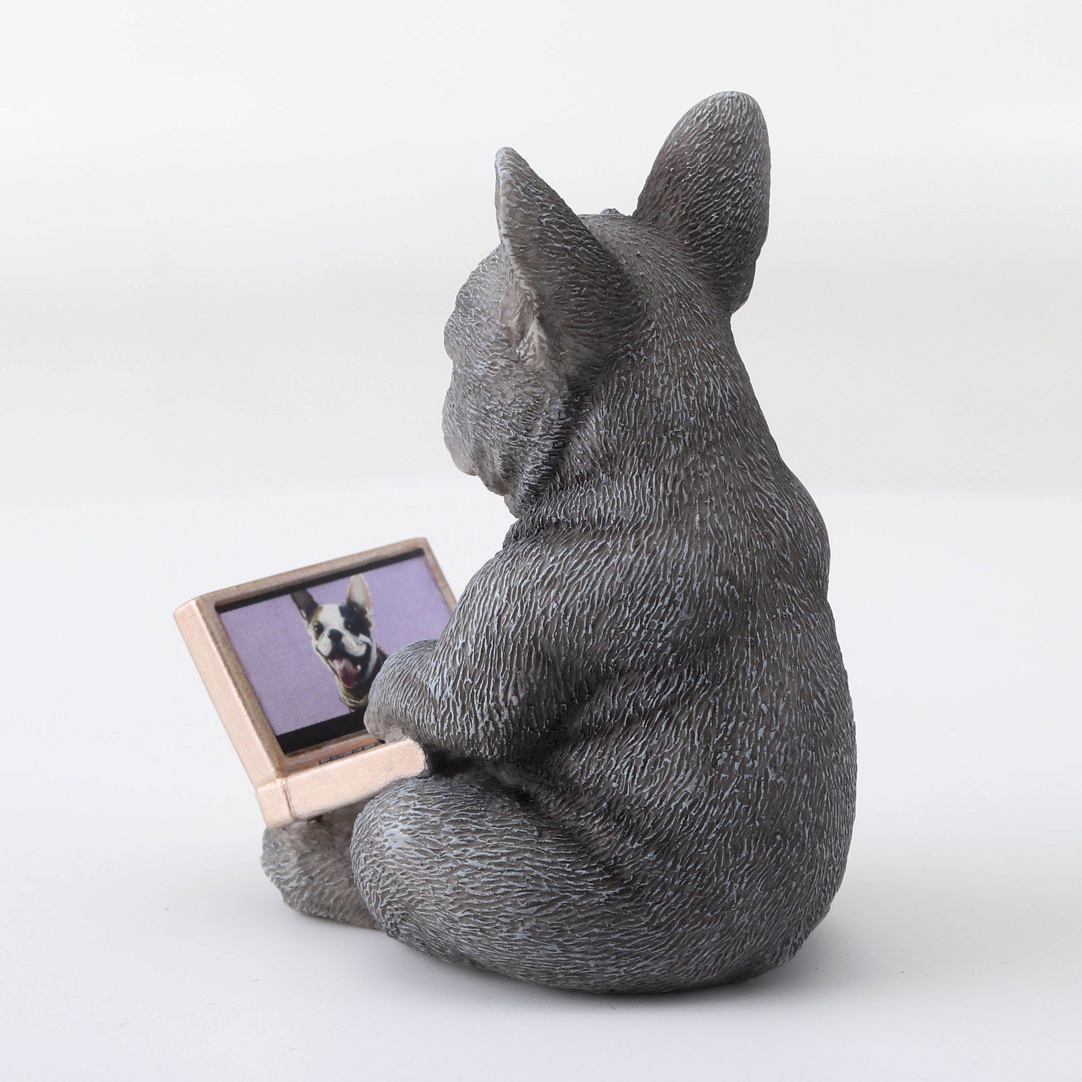 French Bulldog Chat Room Menace