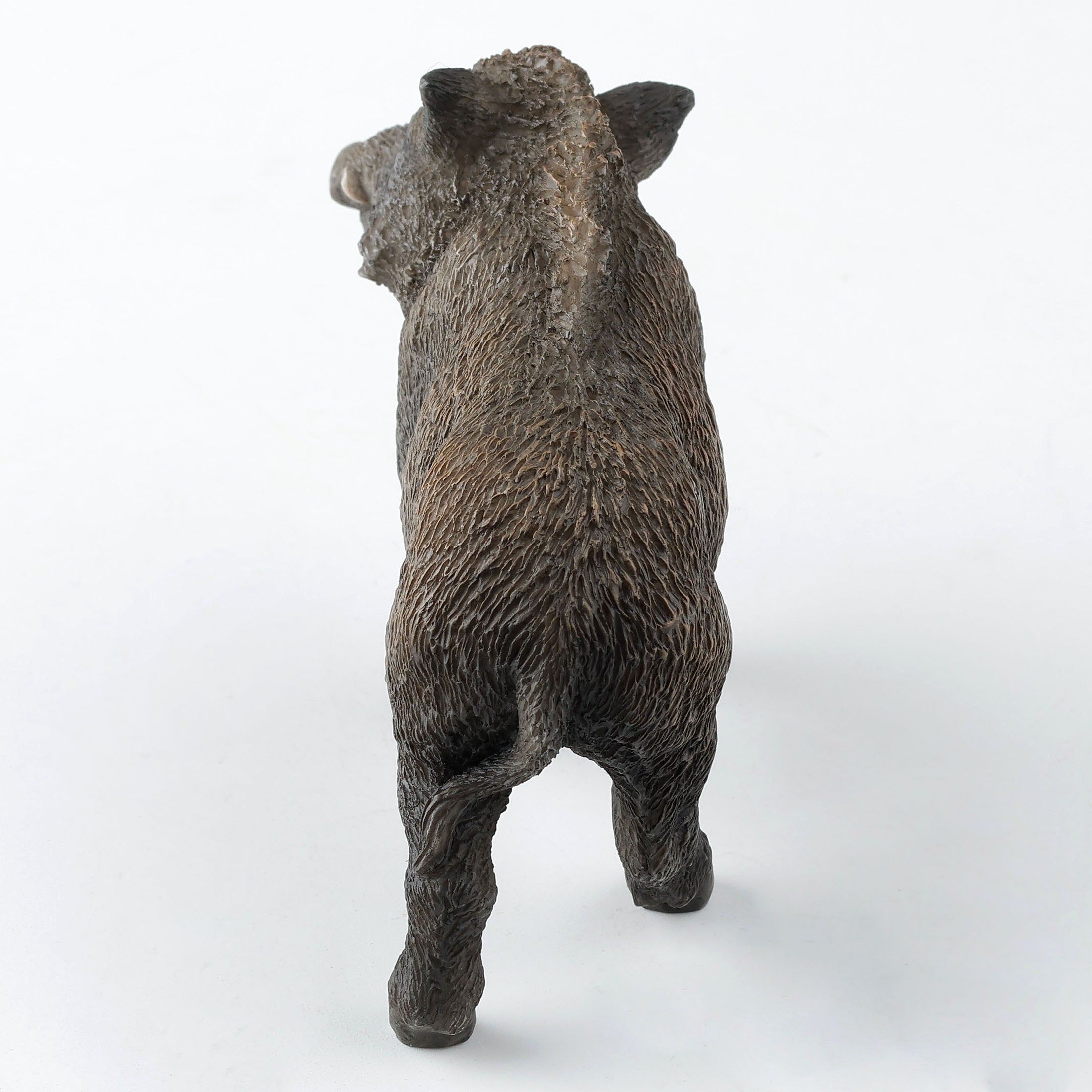 Wild Boar