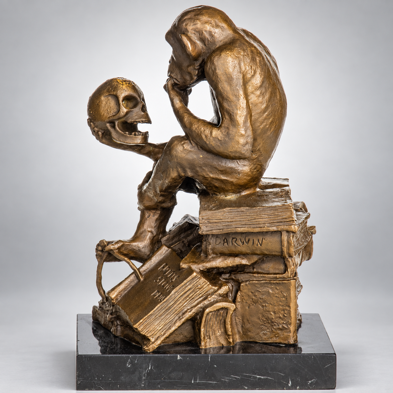 Darwin's Monkey with Skull Bronze Sculpture – view 4