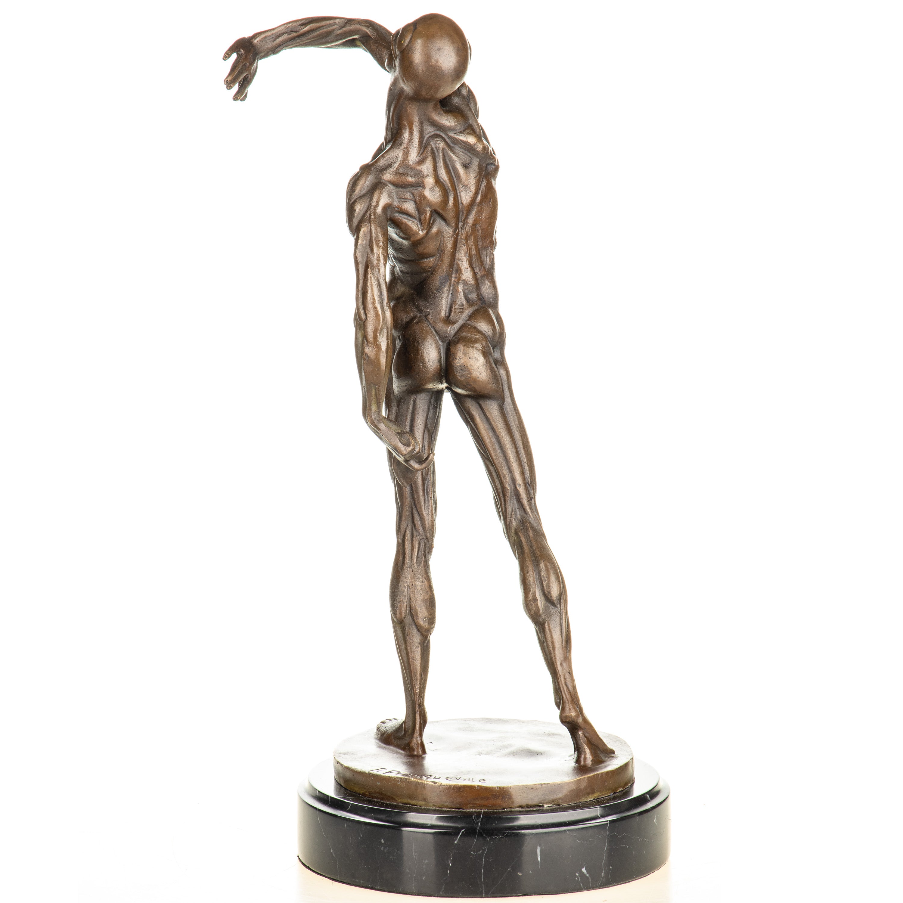 Anatomy of a Man Bronze Sculpture after Franqueville – Large