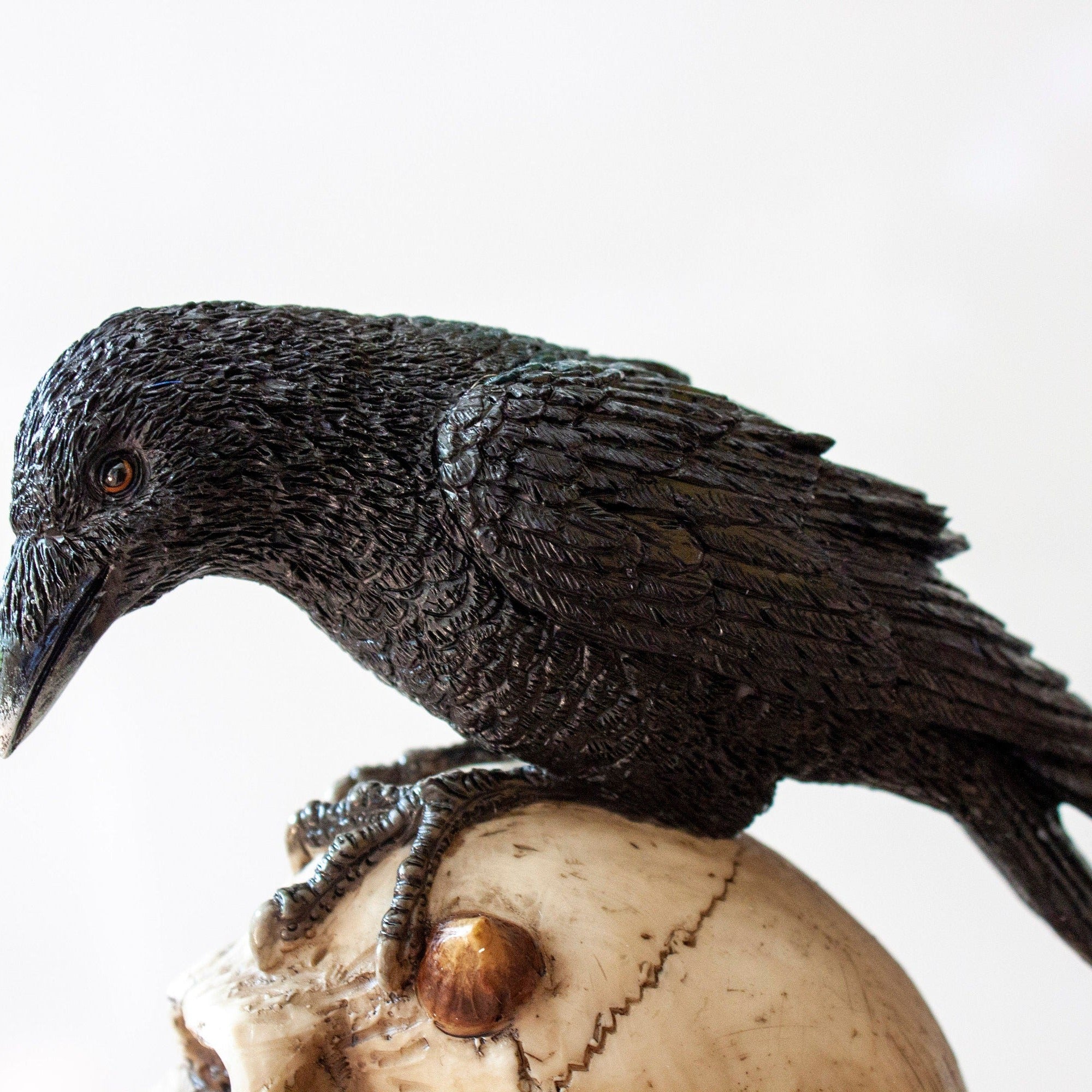 Resin Skull and Raven Statue, Veronese Design