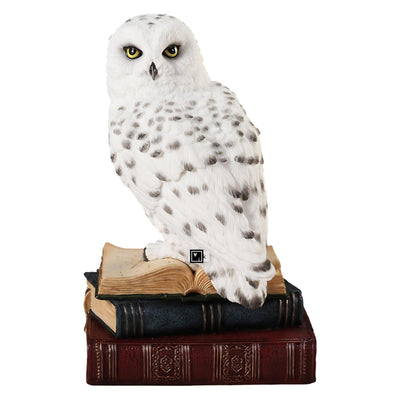 Snowy Owl Statue: Resin Owl Perched on Books