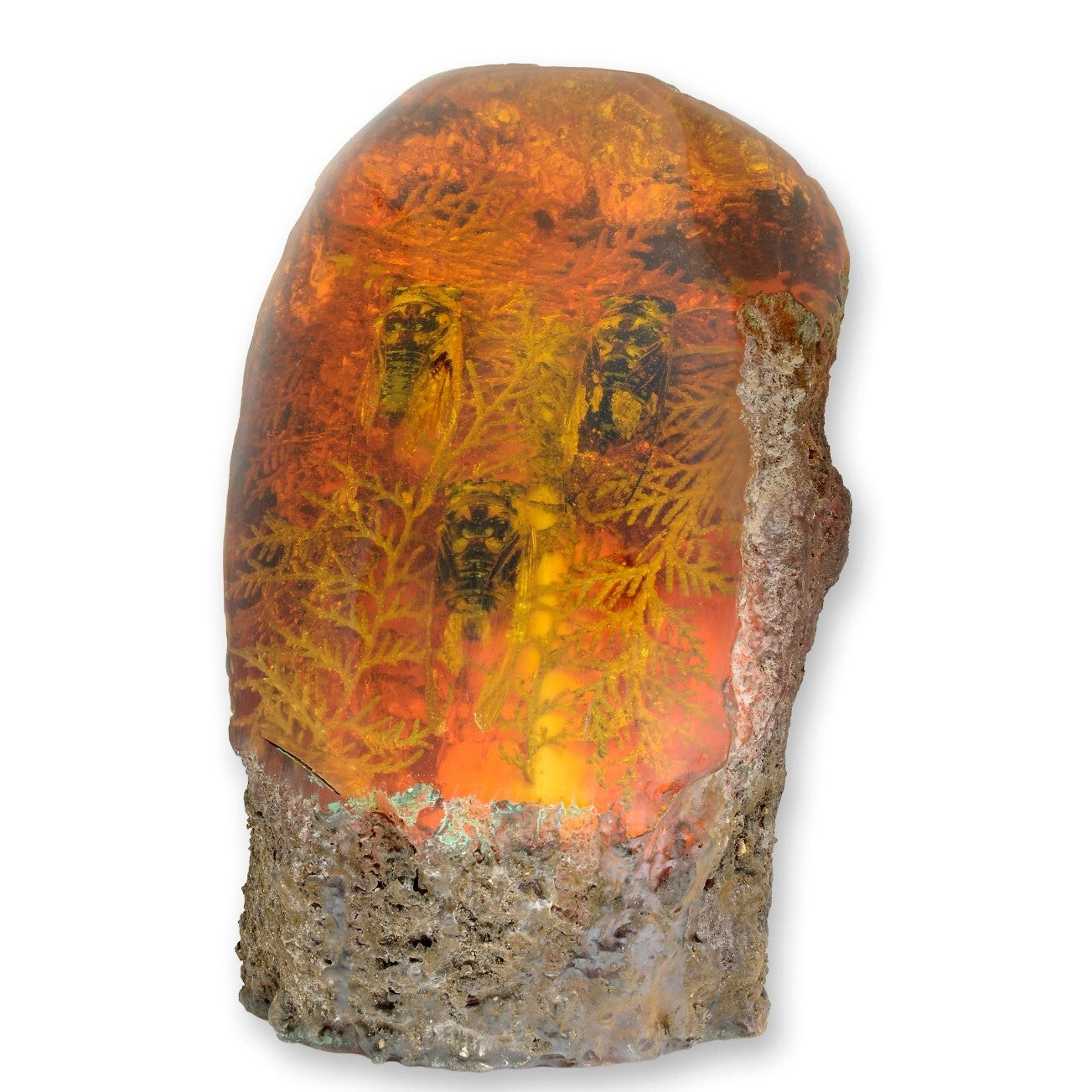 Large Resin Ornament with 3 Cicadas – Amber Fossil Style Display