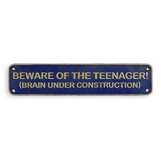 Teenager Warning Wall Sign | Handcrafted Cast Iron Decor | Gift Idea