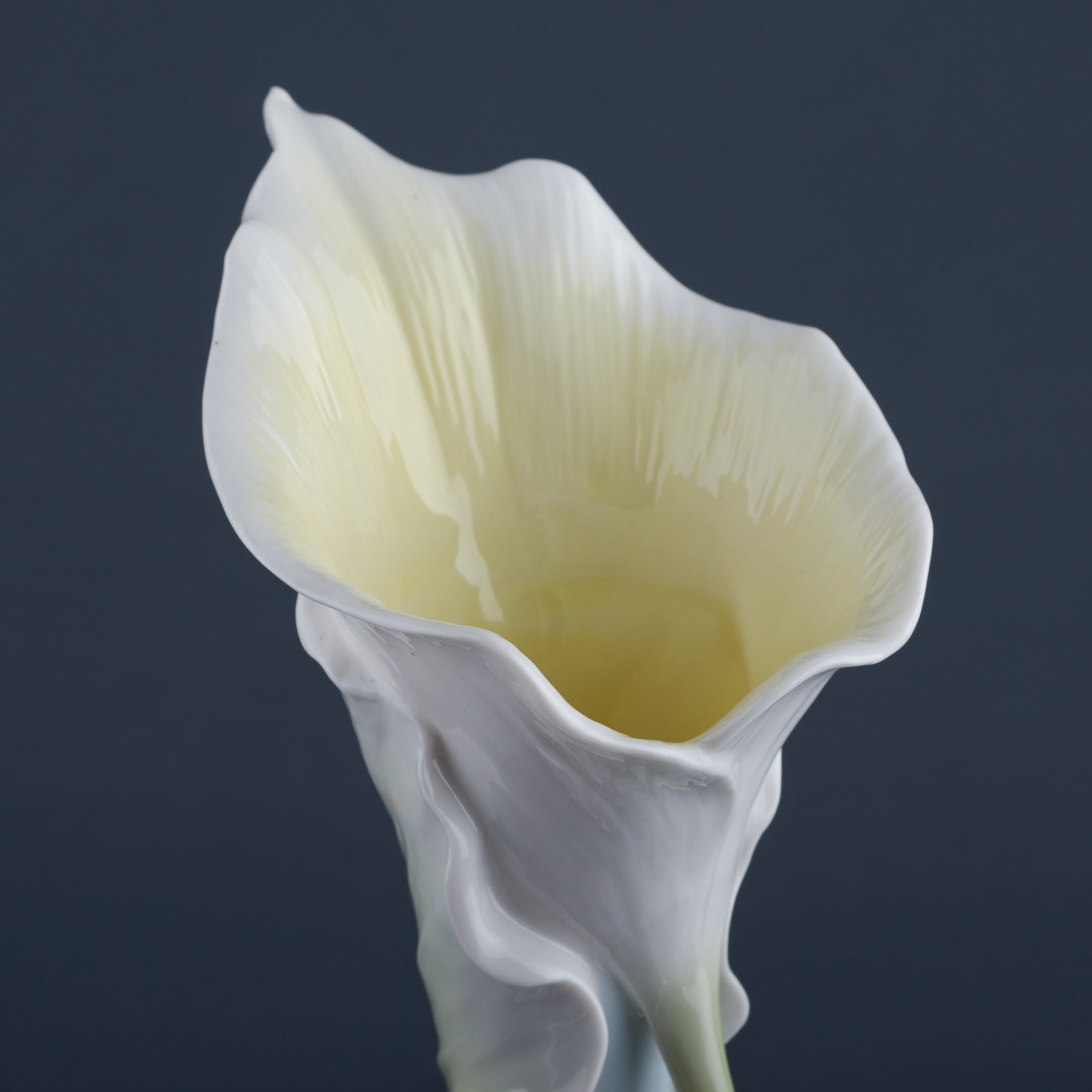 Calla Lily and Lady Bug Vase