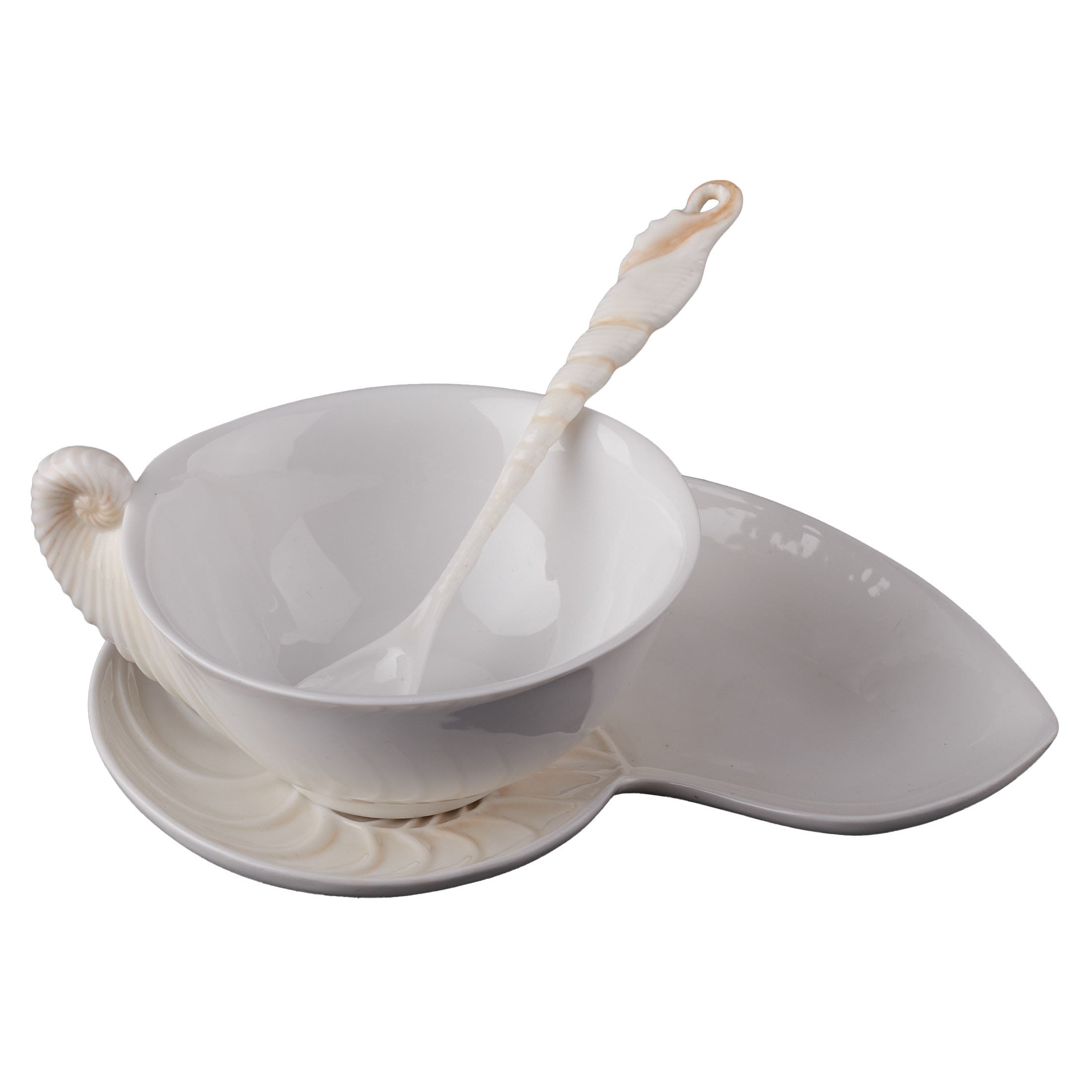 Nautilus Coffee Cup Set With Spoon