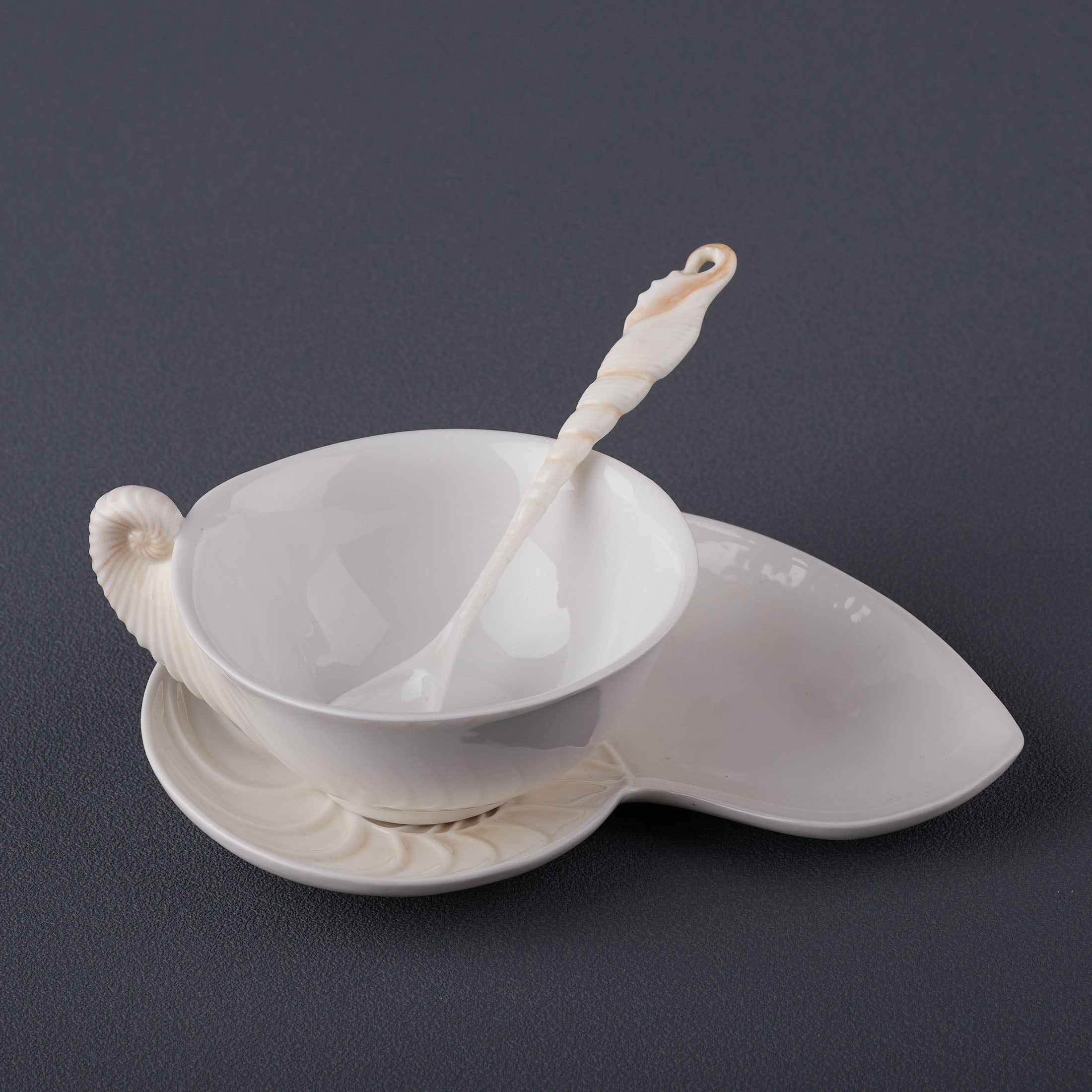 Nautilus Coffee Cup Set With Spoon