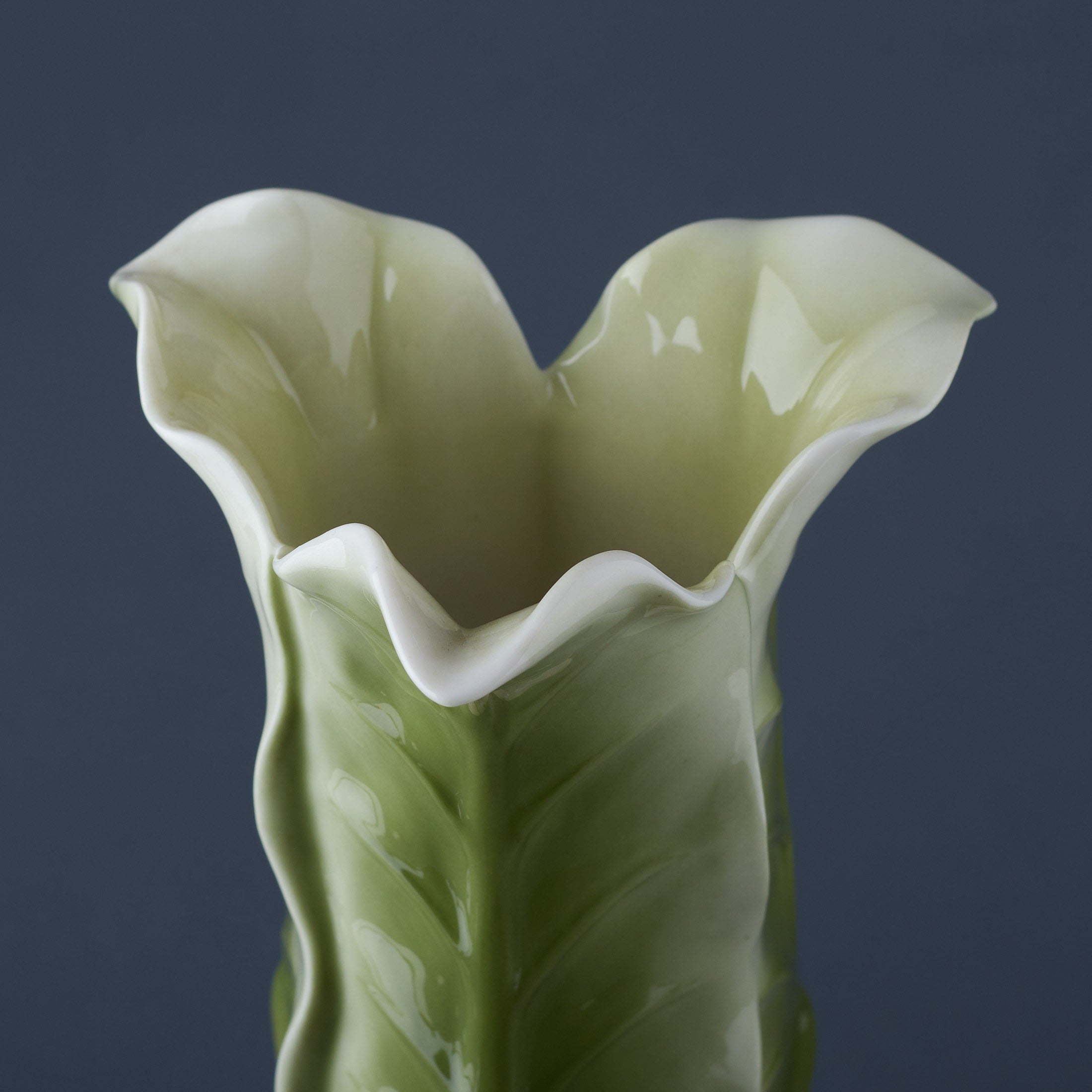 Triple Lotus Leaves Tall Vase With Red Dragon Fly