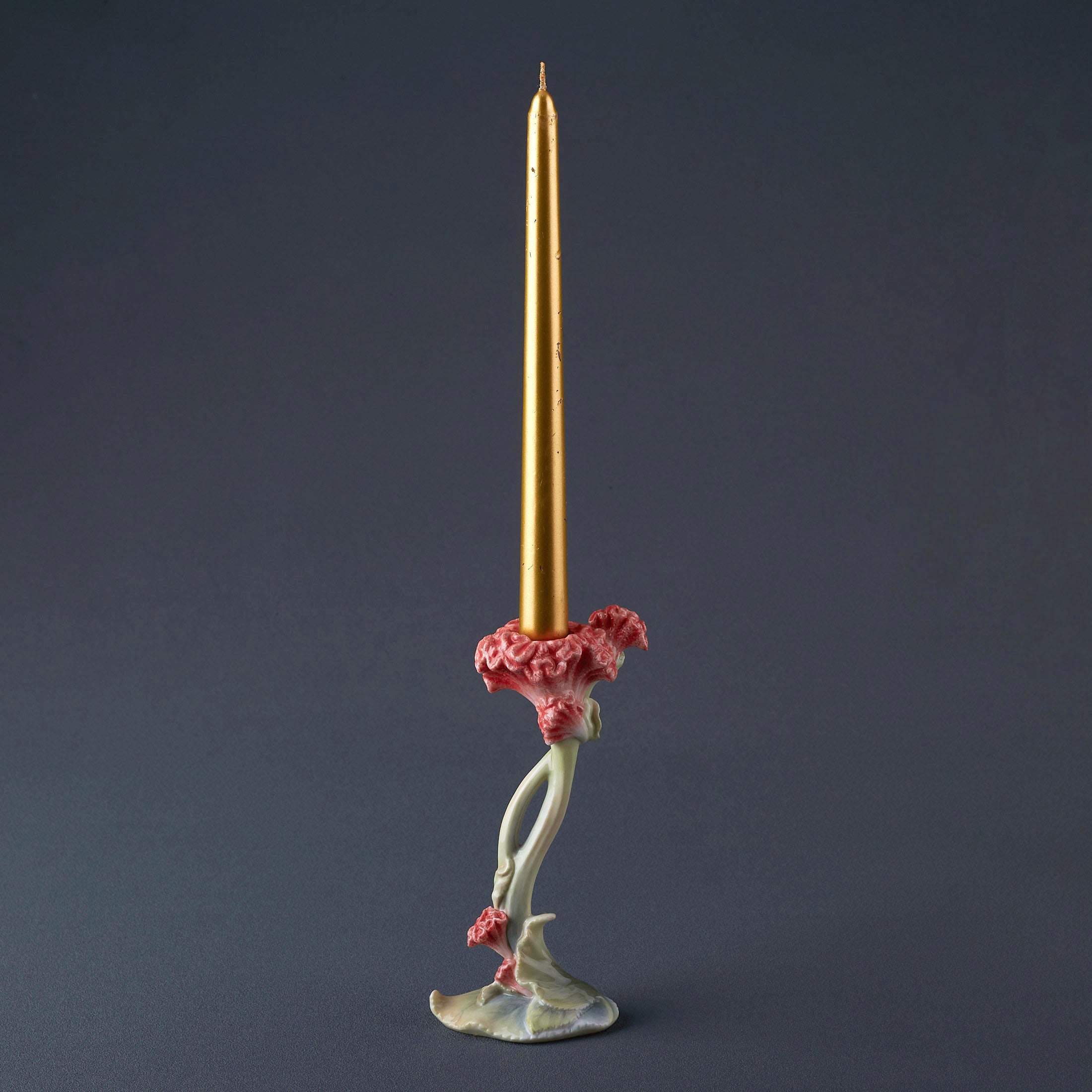 Cockscomb Candle Holder