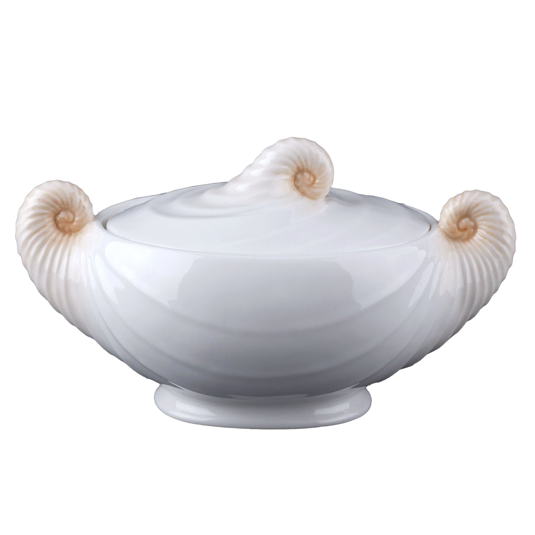 Nautilus Sugar Jar