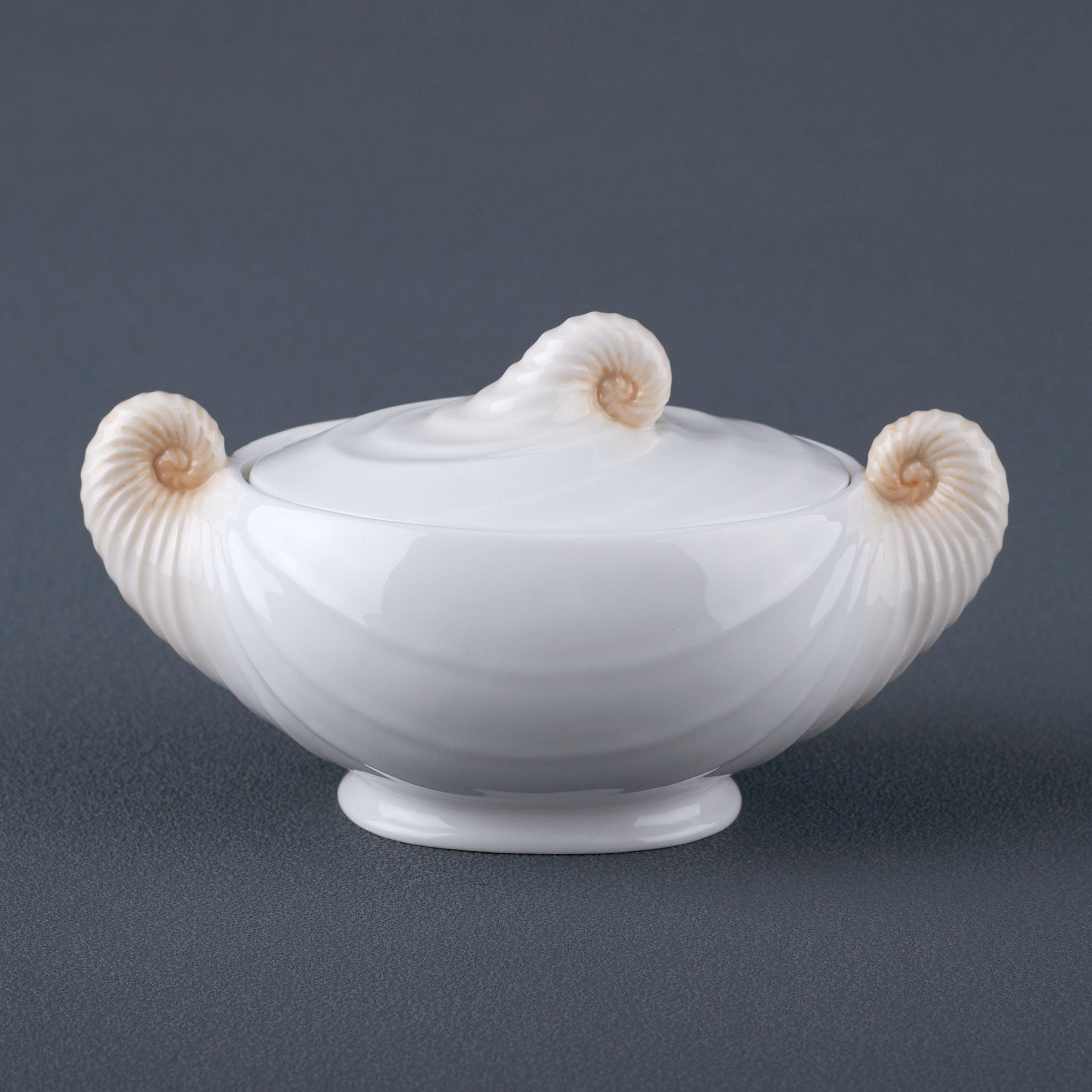 Nautilus Sugar Jar
