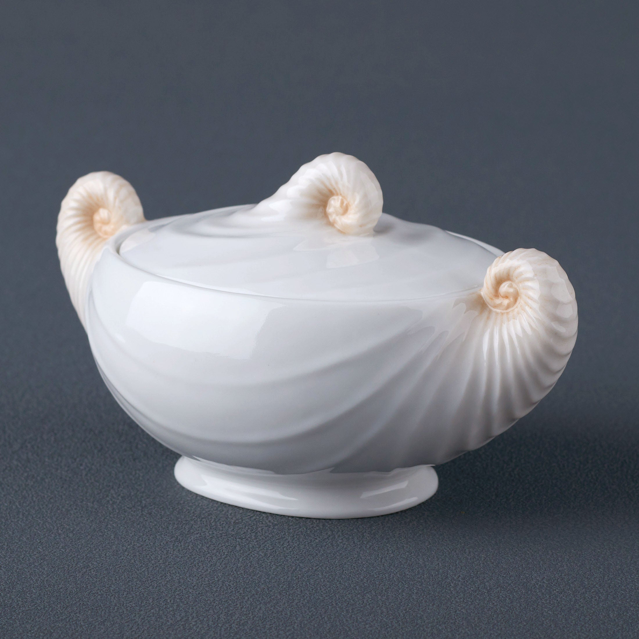 Nautilus Sugar Jar