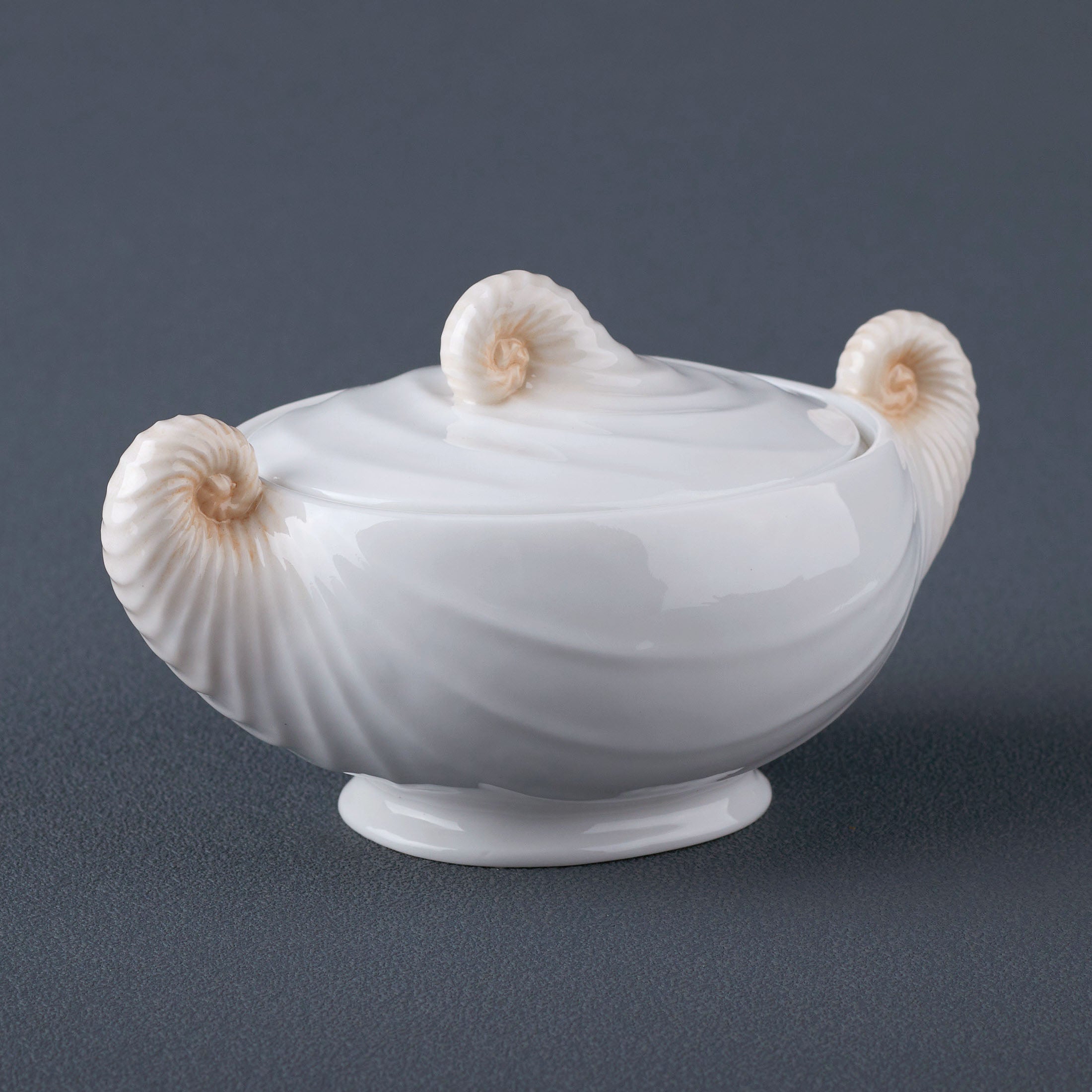 Nautilus Sugar Jar