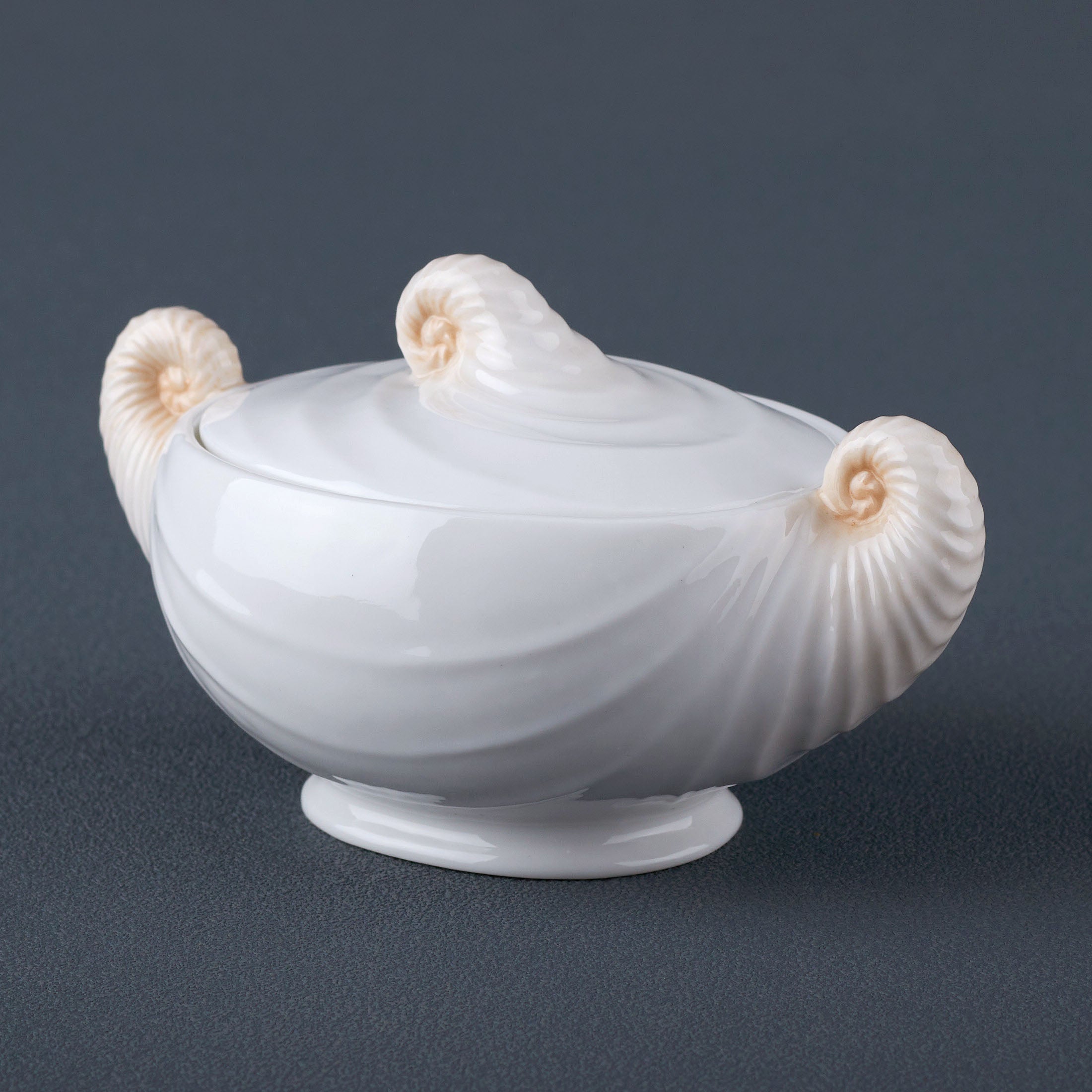 Nautilus Sugar Jar