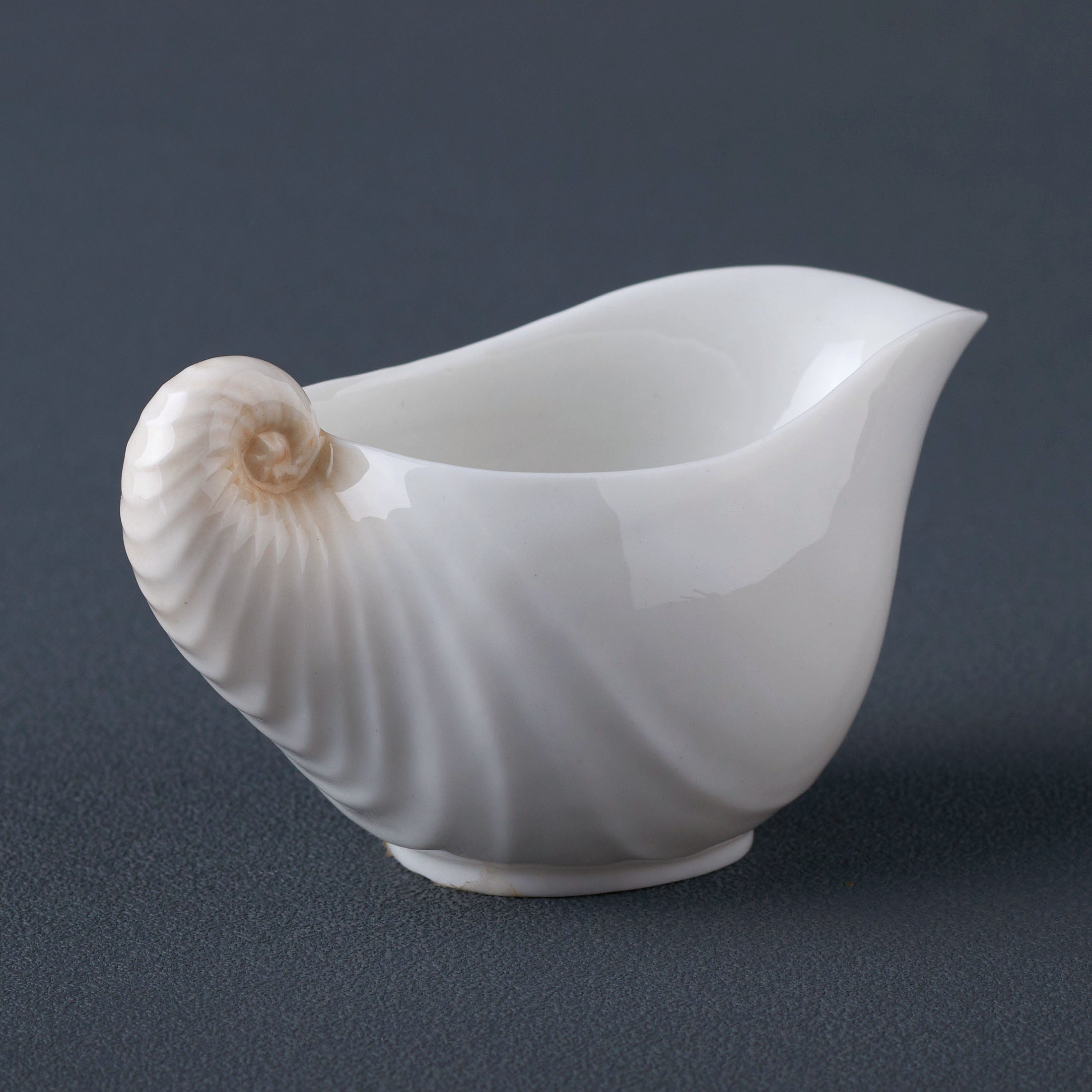 Nautilus Creamer
