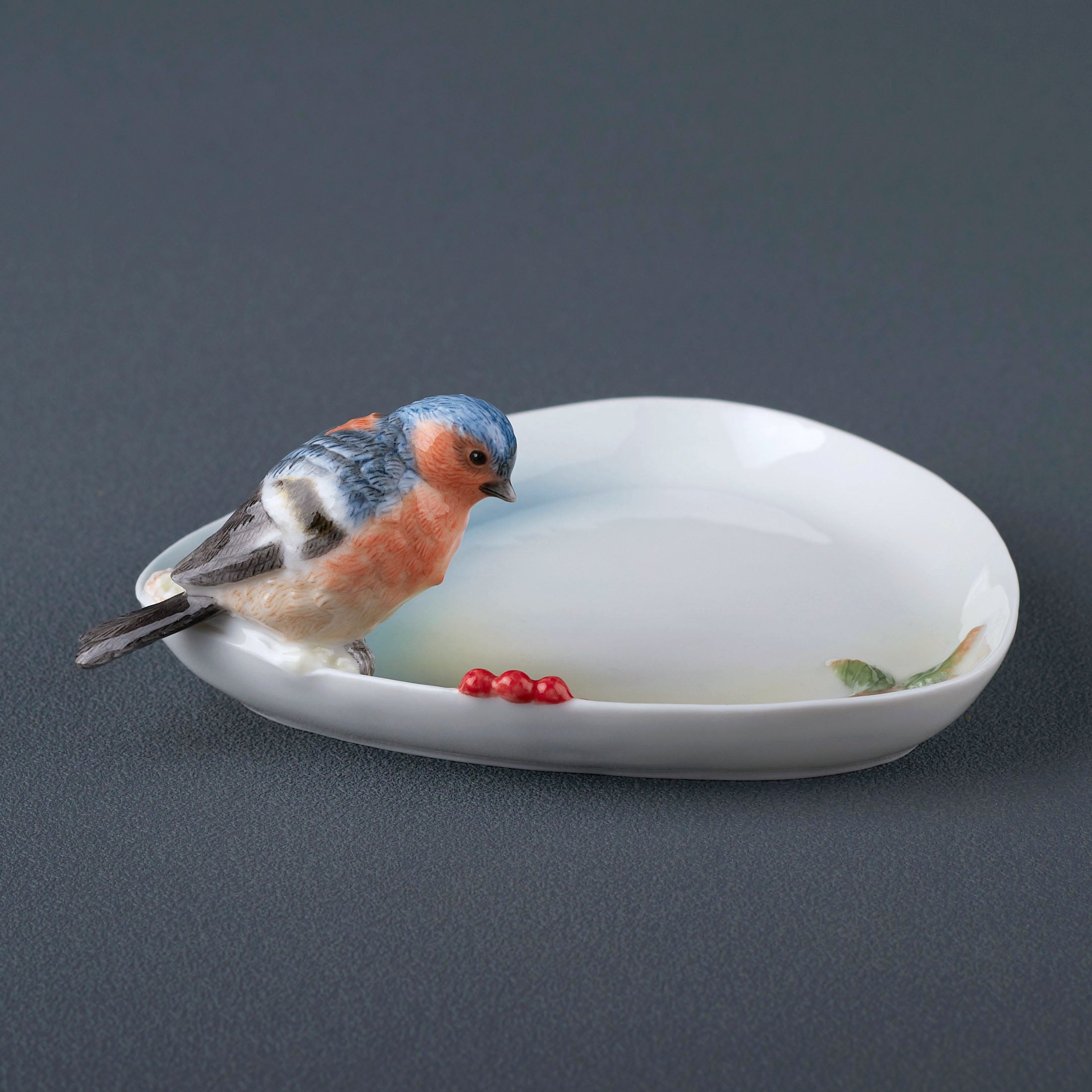 Pyracantha and Bluebird Dish