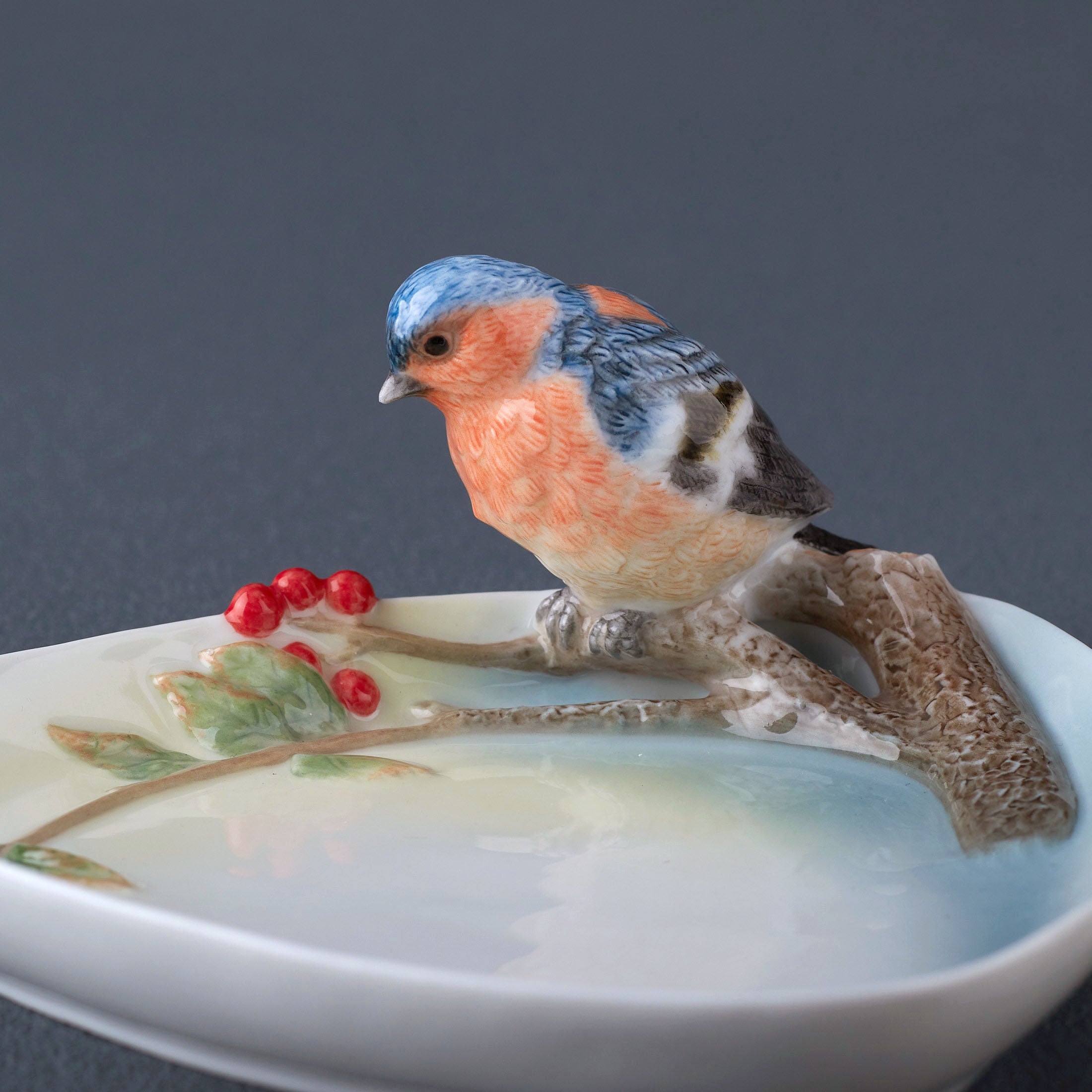 Pyracantha and Bluebird Dish
