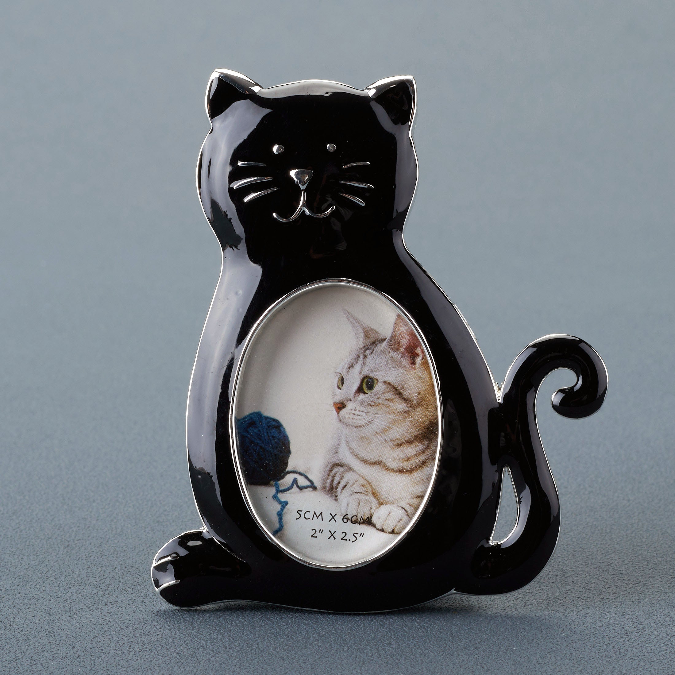 Cat Photo Frame W/Black