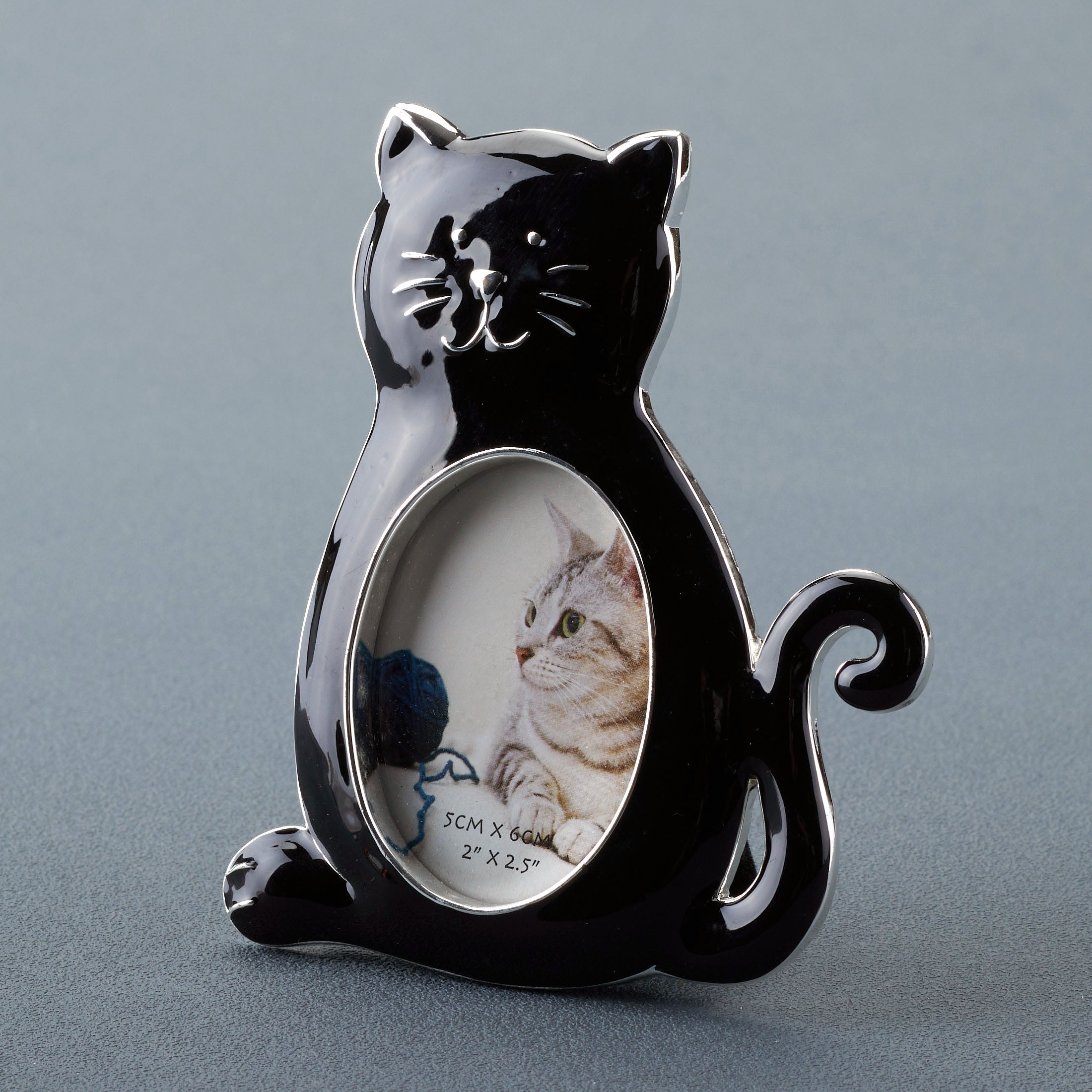 Cat Photo Frame W/Black