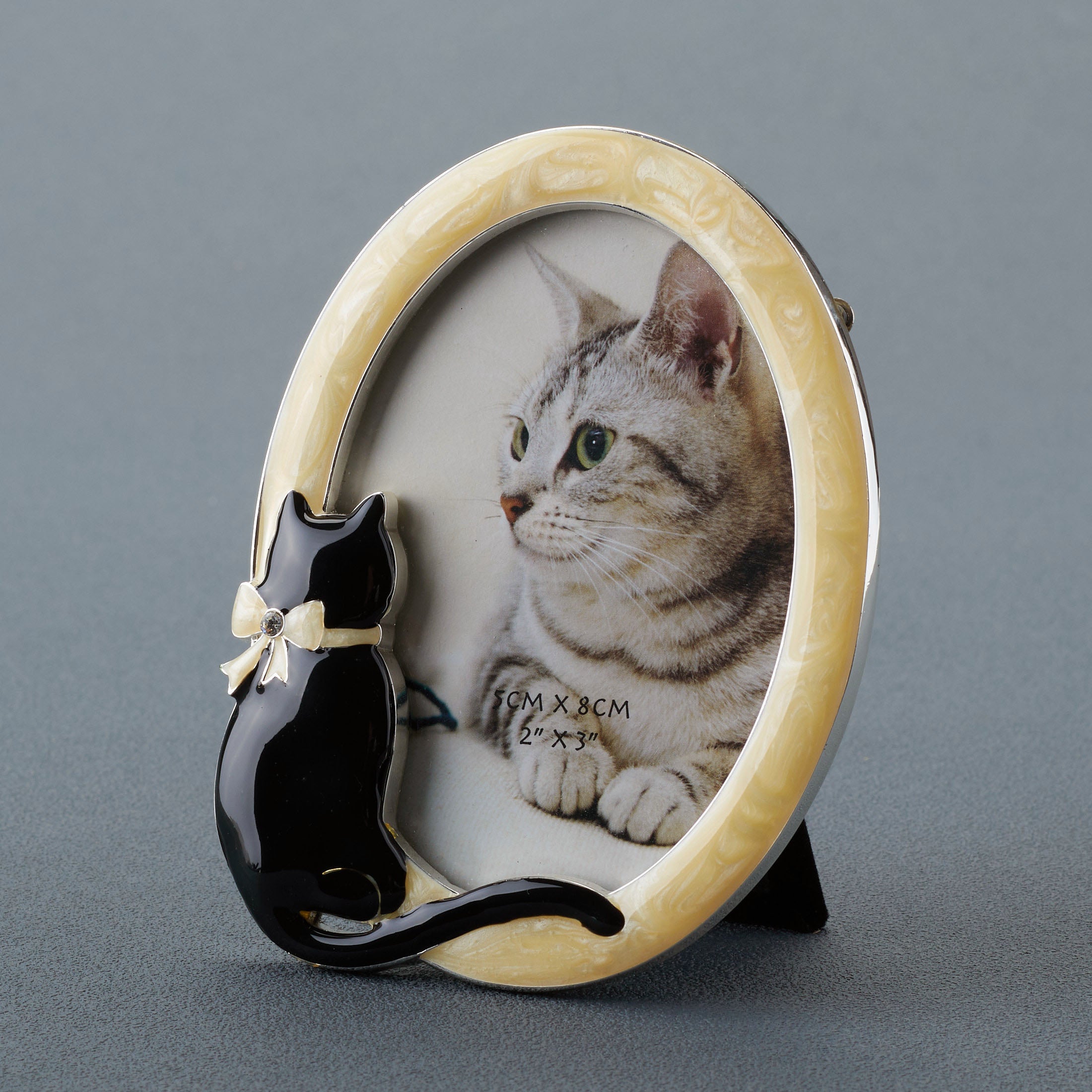 Oval Photo Frame W/Cat