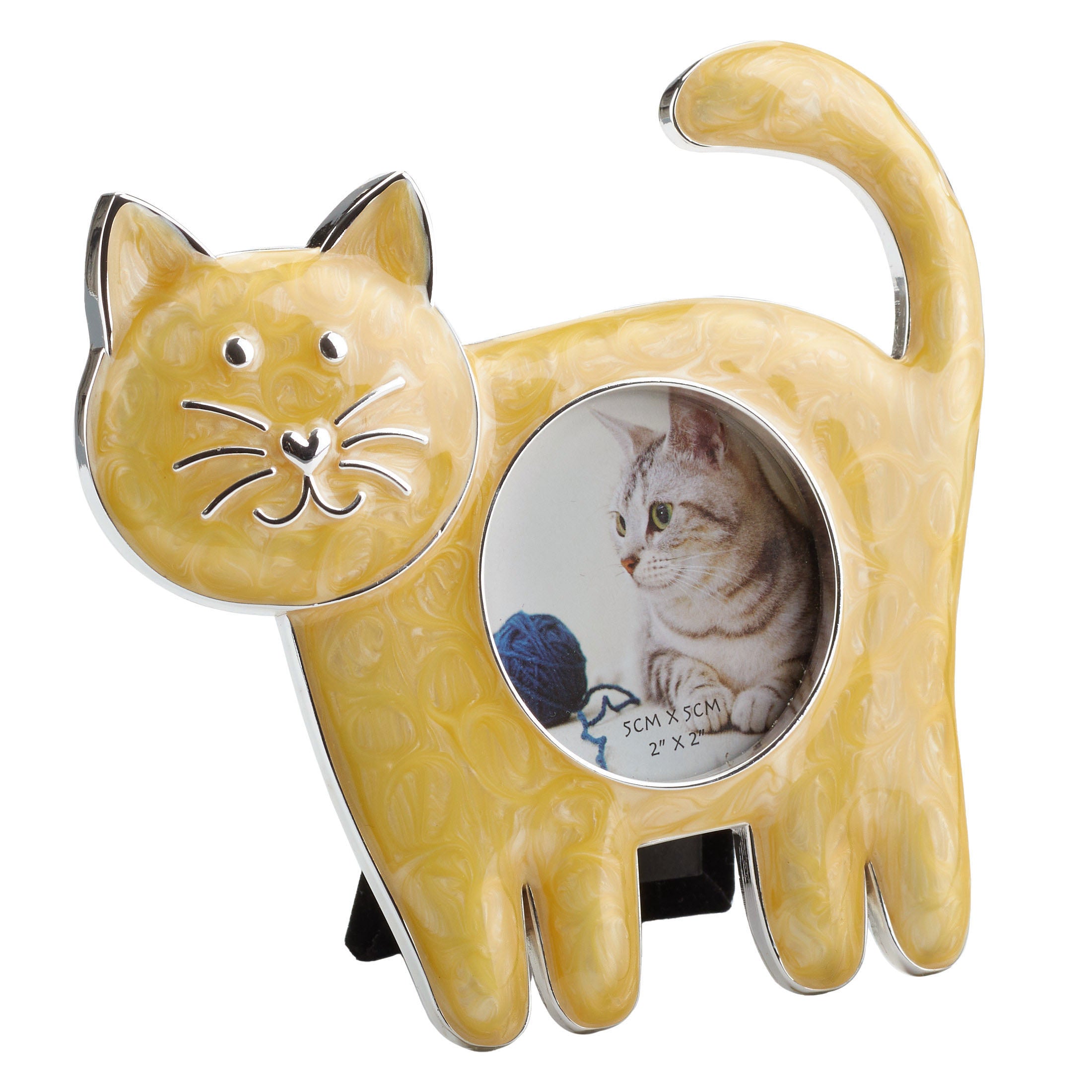 Cat Standing On Four Legs Photo Frame (White )
