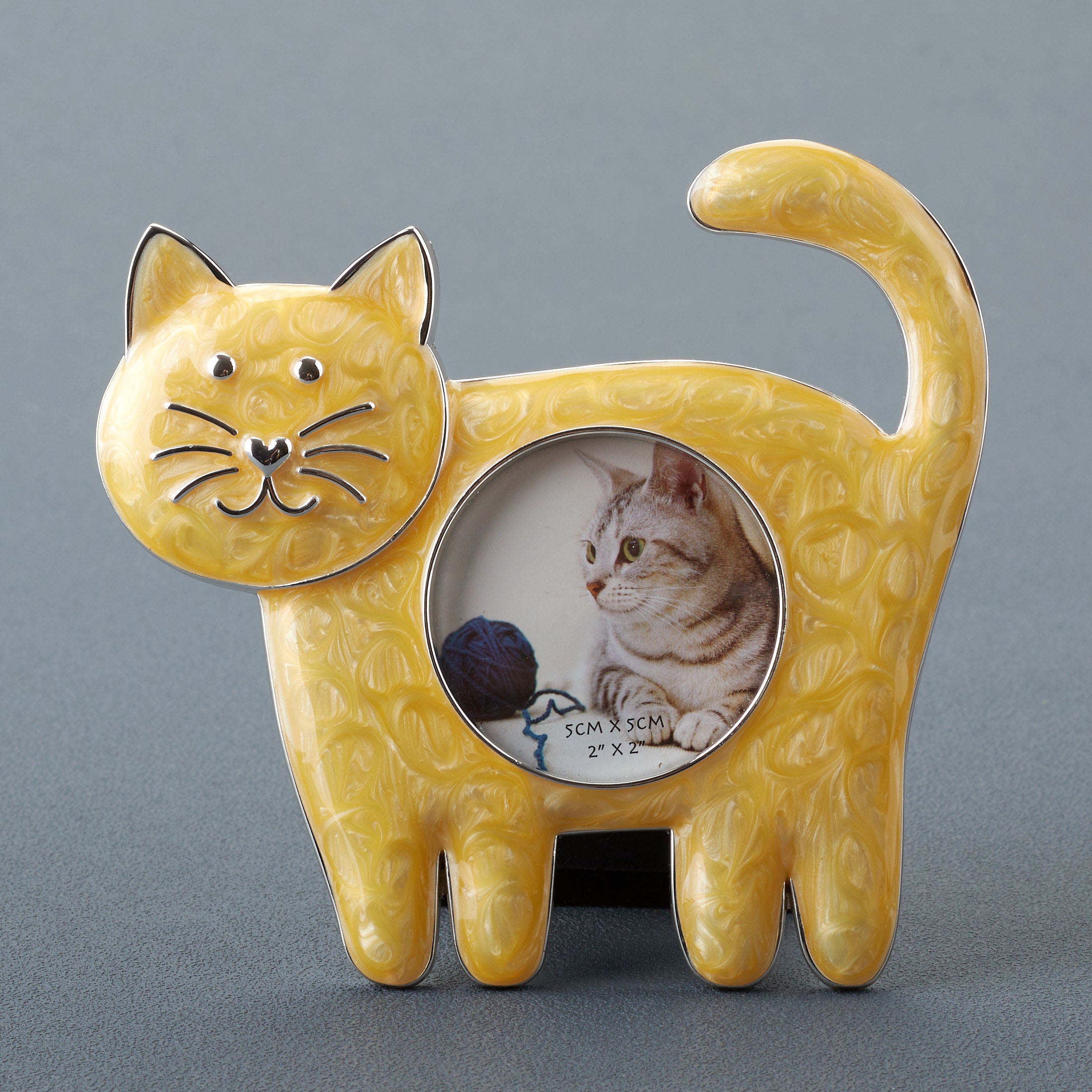 Cat Standing On Four Legs Photo Frame (White )