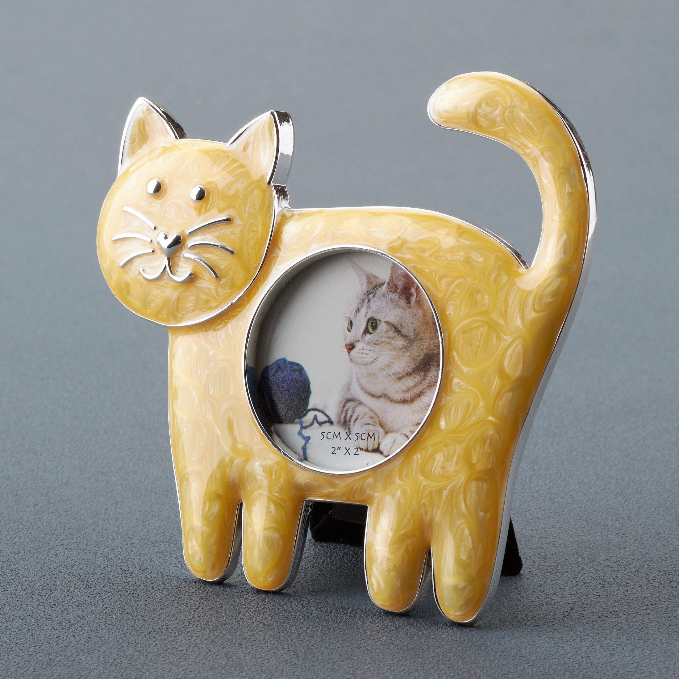 Cat Standing On Four Legs Photo Frame (White )
