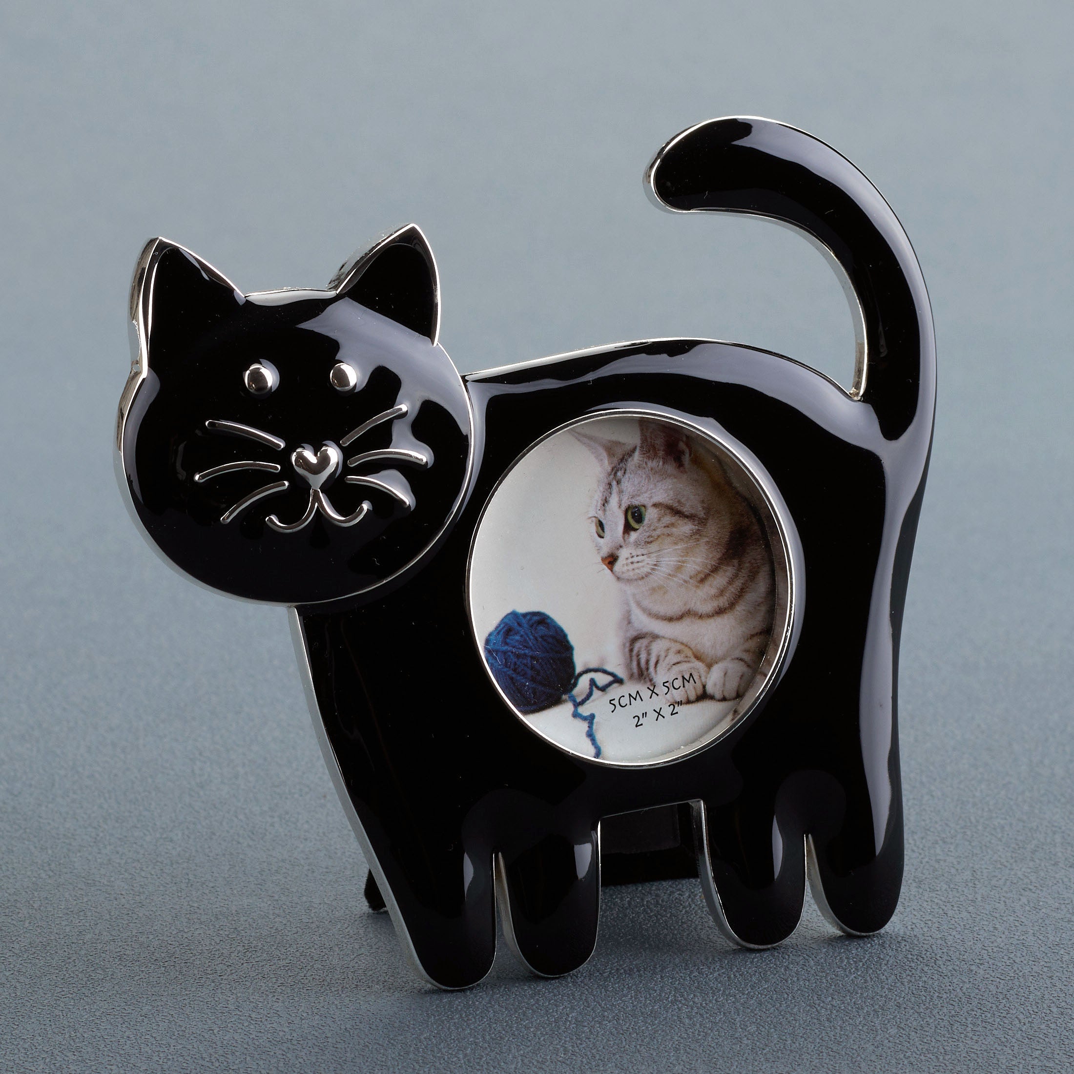 Cat Standing On Four Legs Photo Frame (Black)
