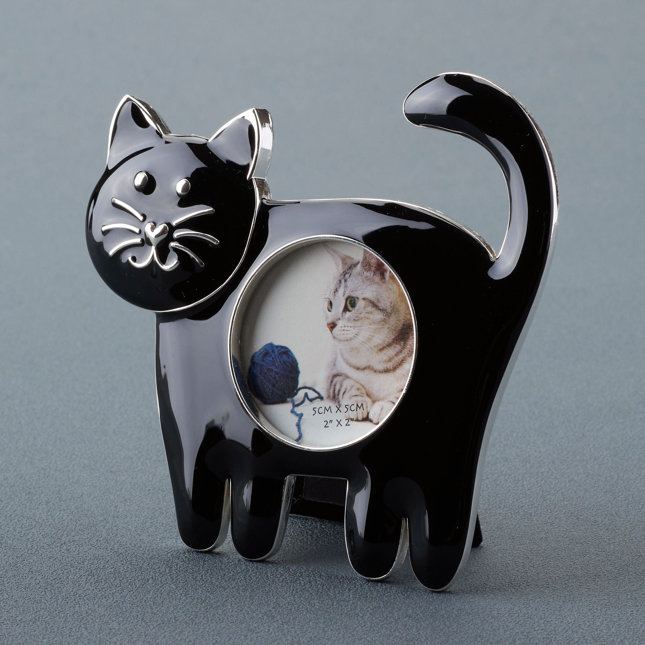 Cat Standing On Four Legs Photo Frame (Black)