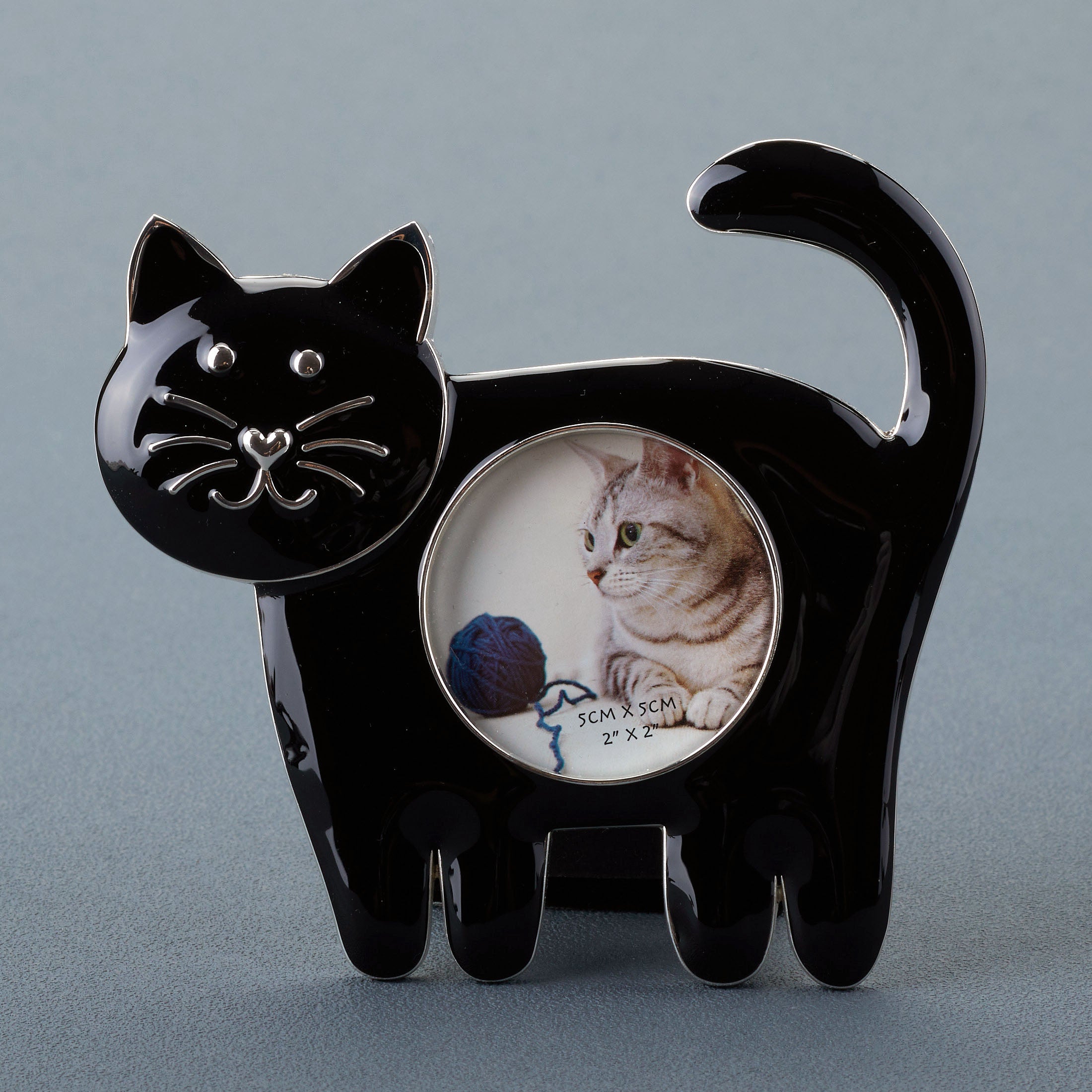 Cat Standing On Four Legs Photo Frame (Black)
