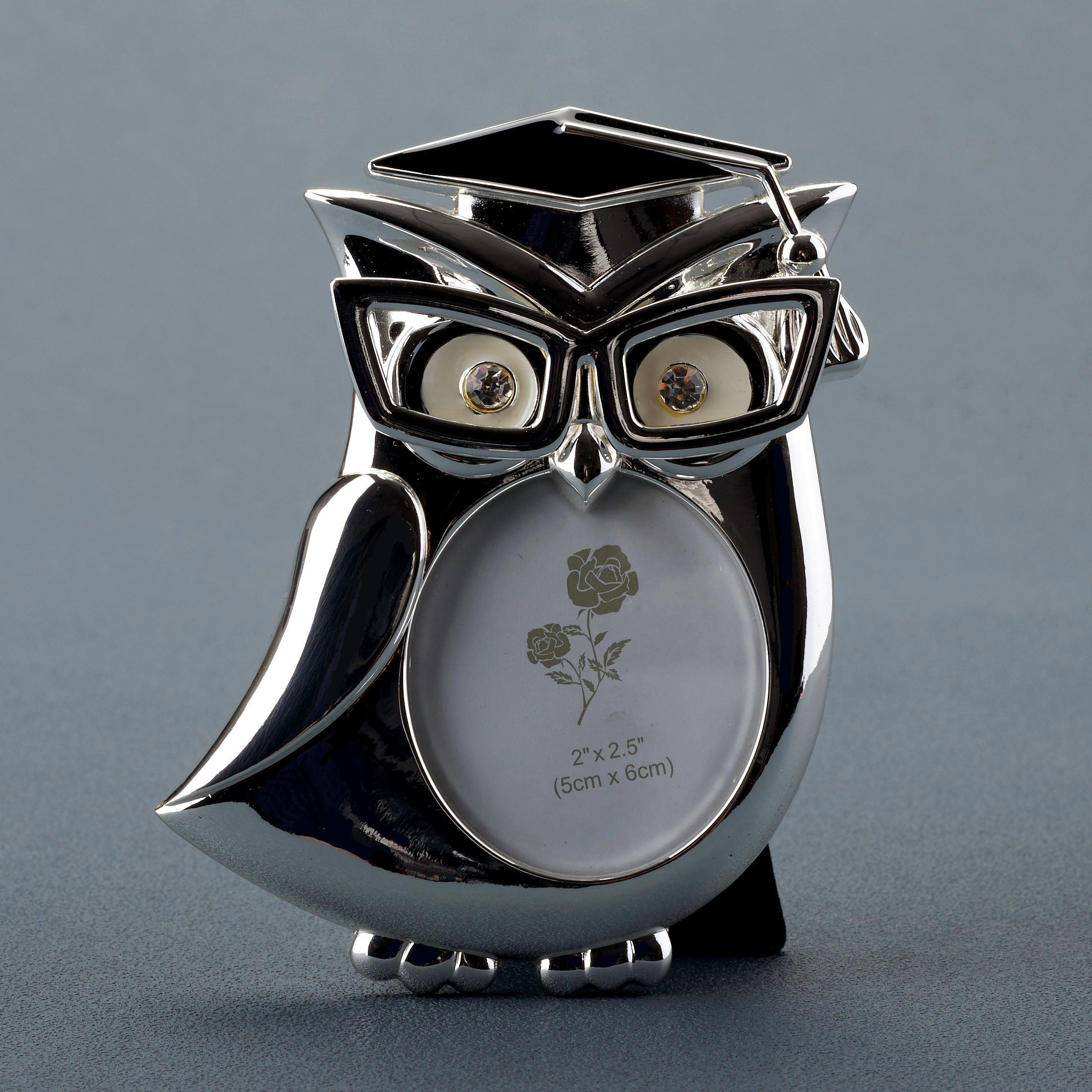 Graduation Owl Round Shape Photo Frame