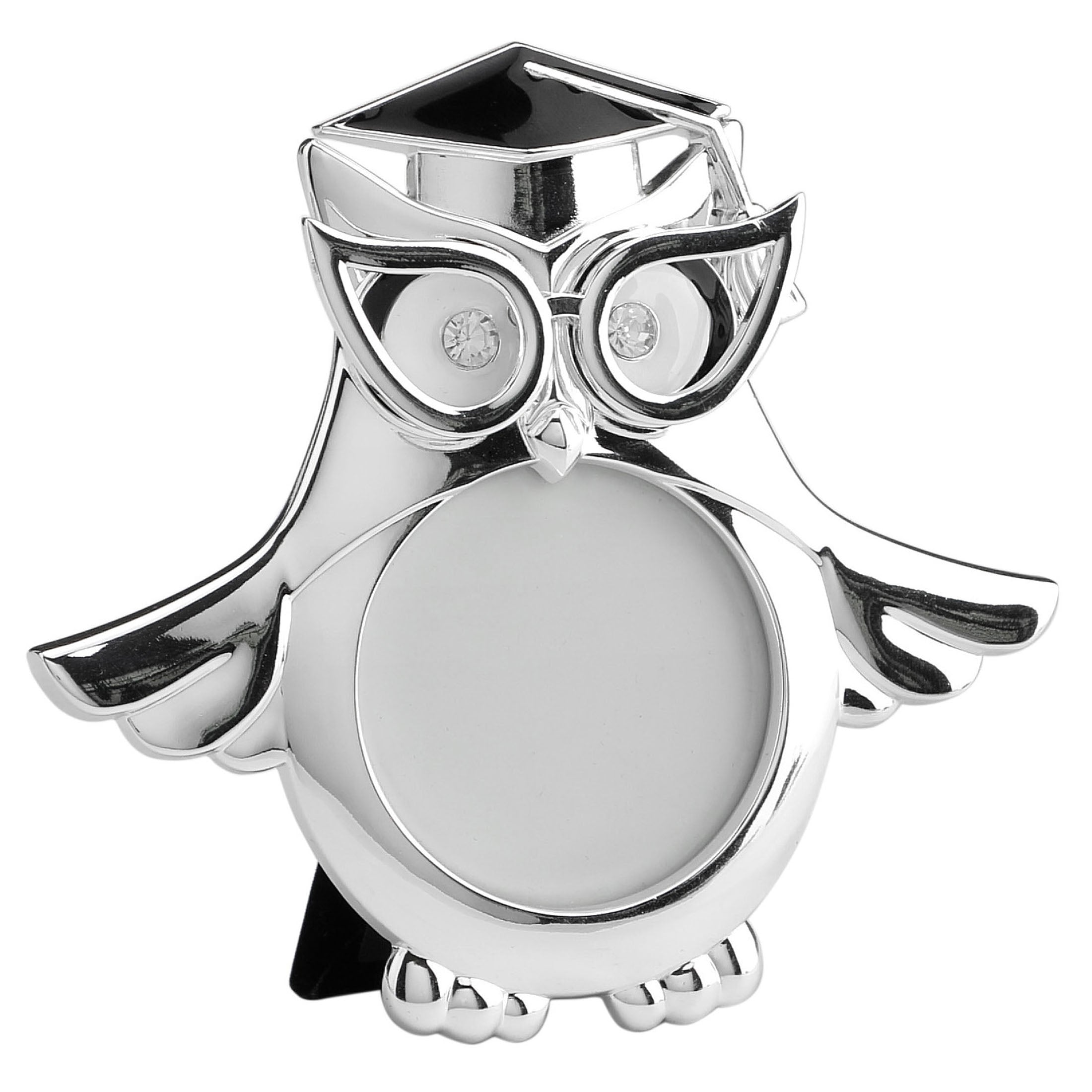 Graduation Owl Wings Expanded Round Shape Photo Frame