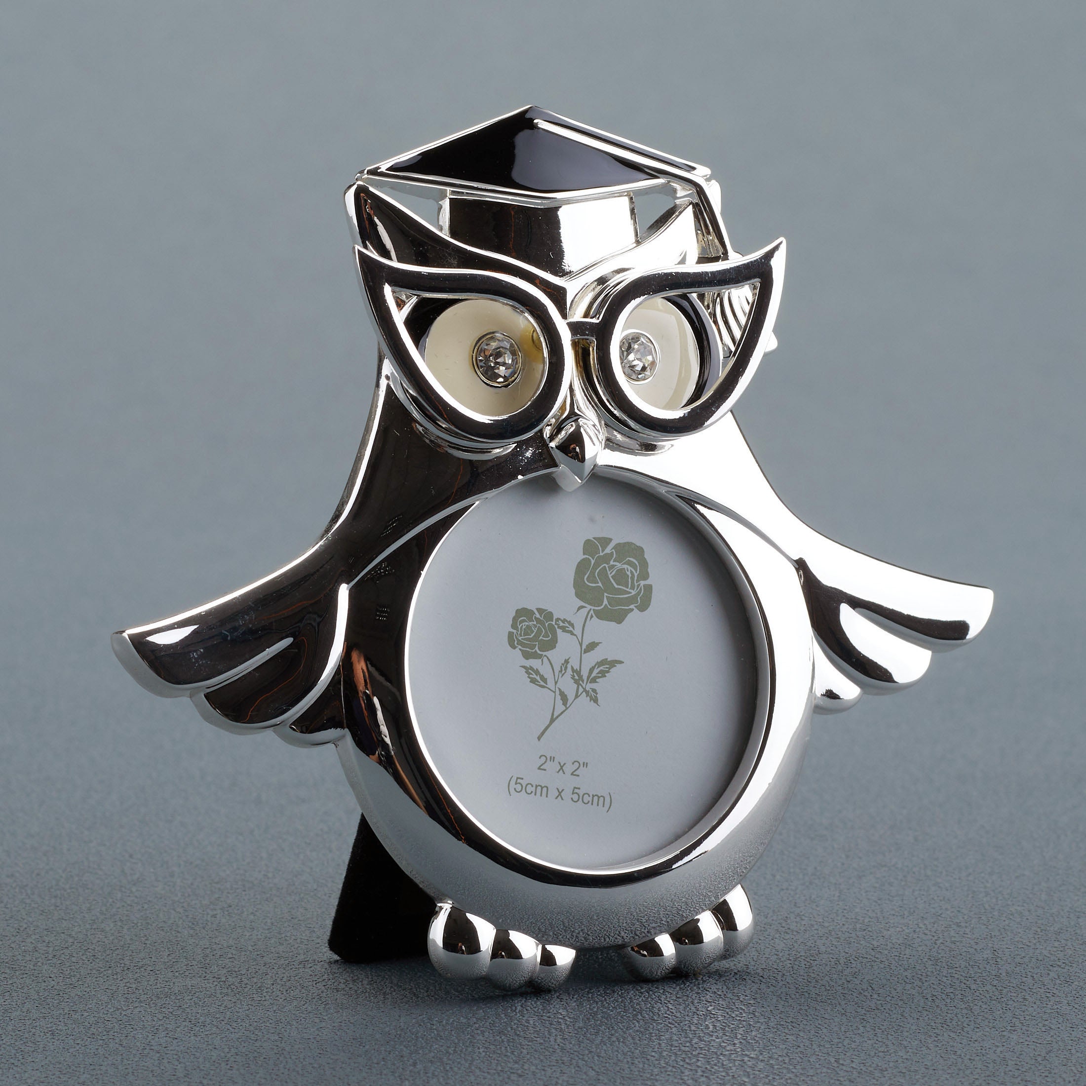 Graduation Owl Wings Expanded Round Shape Photo Frame