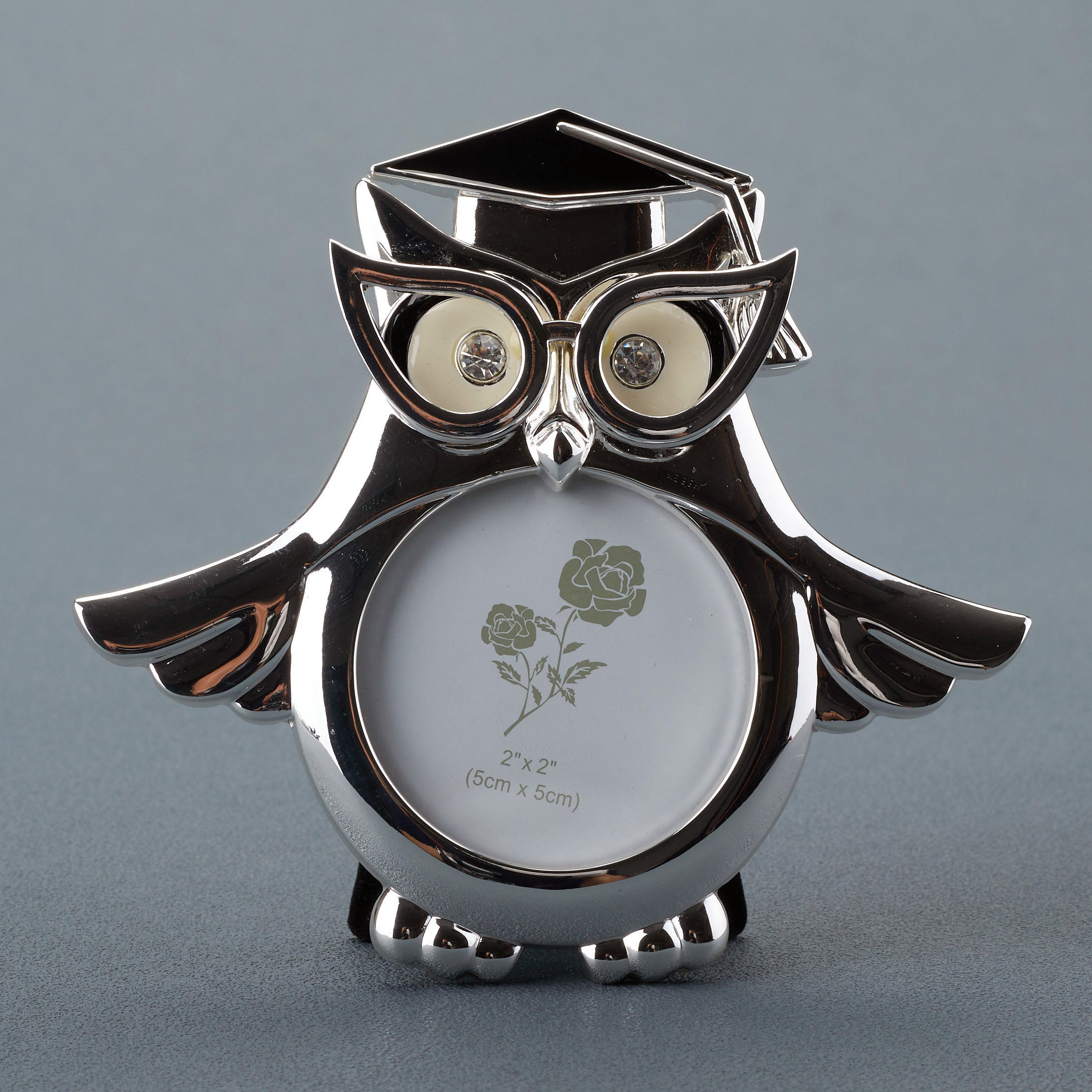 Graduation Owl Wings Expanded Round Shape Photo Frame