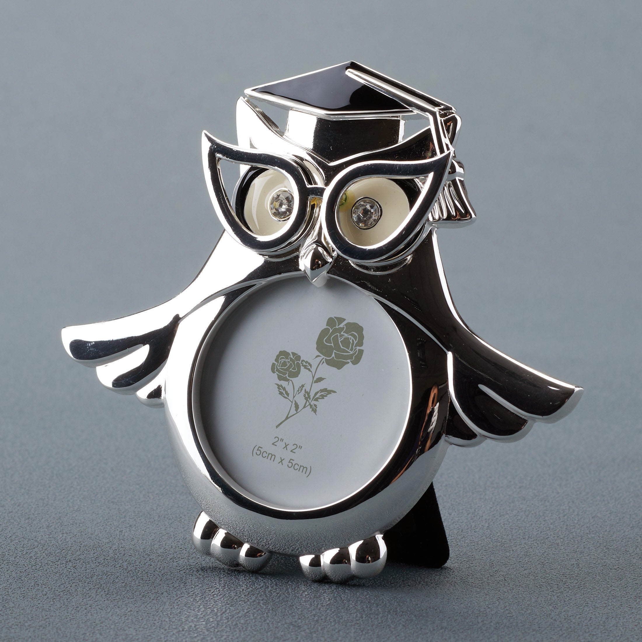 Graduation Owl Wings Expanded Round Shape Photo Frame