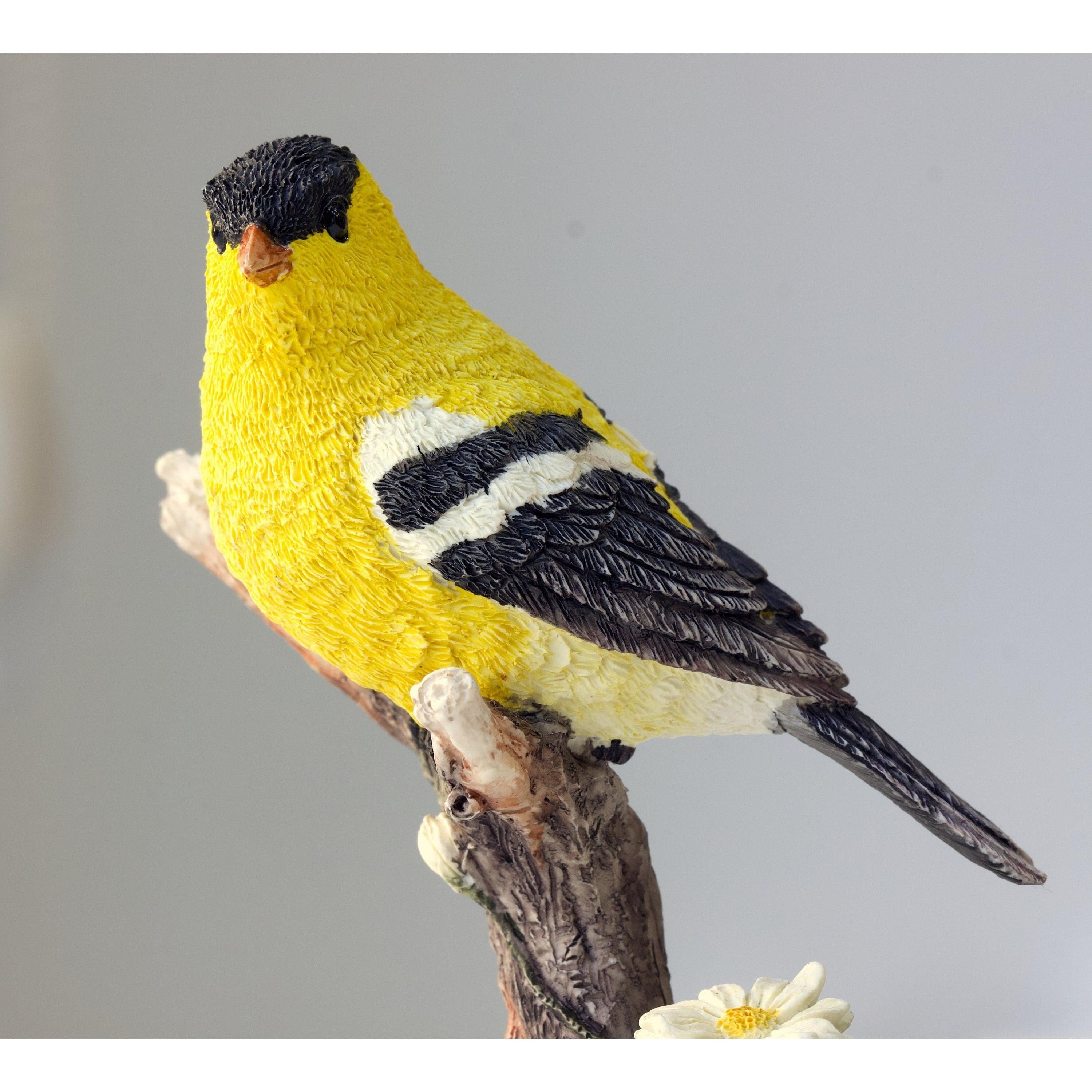 American Goldfinch | Curios & Collectibles | Home Decor