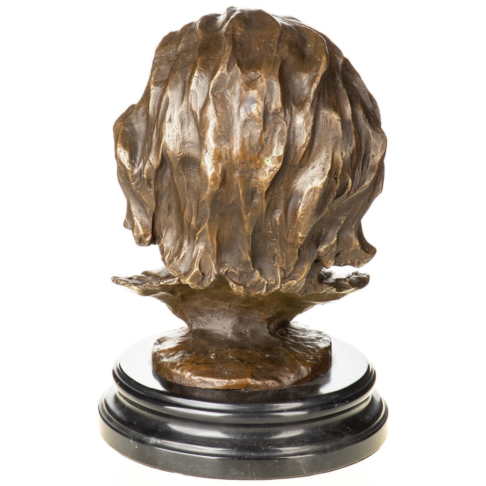 Albert Einstein Bust | Handcrafted Bronze Decor | Unique Home Accent
