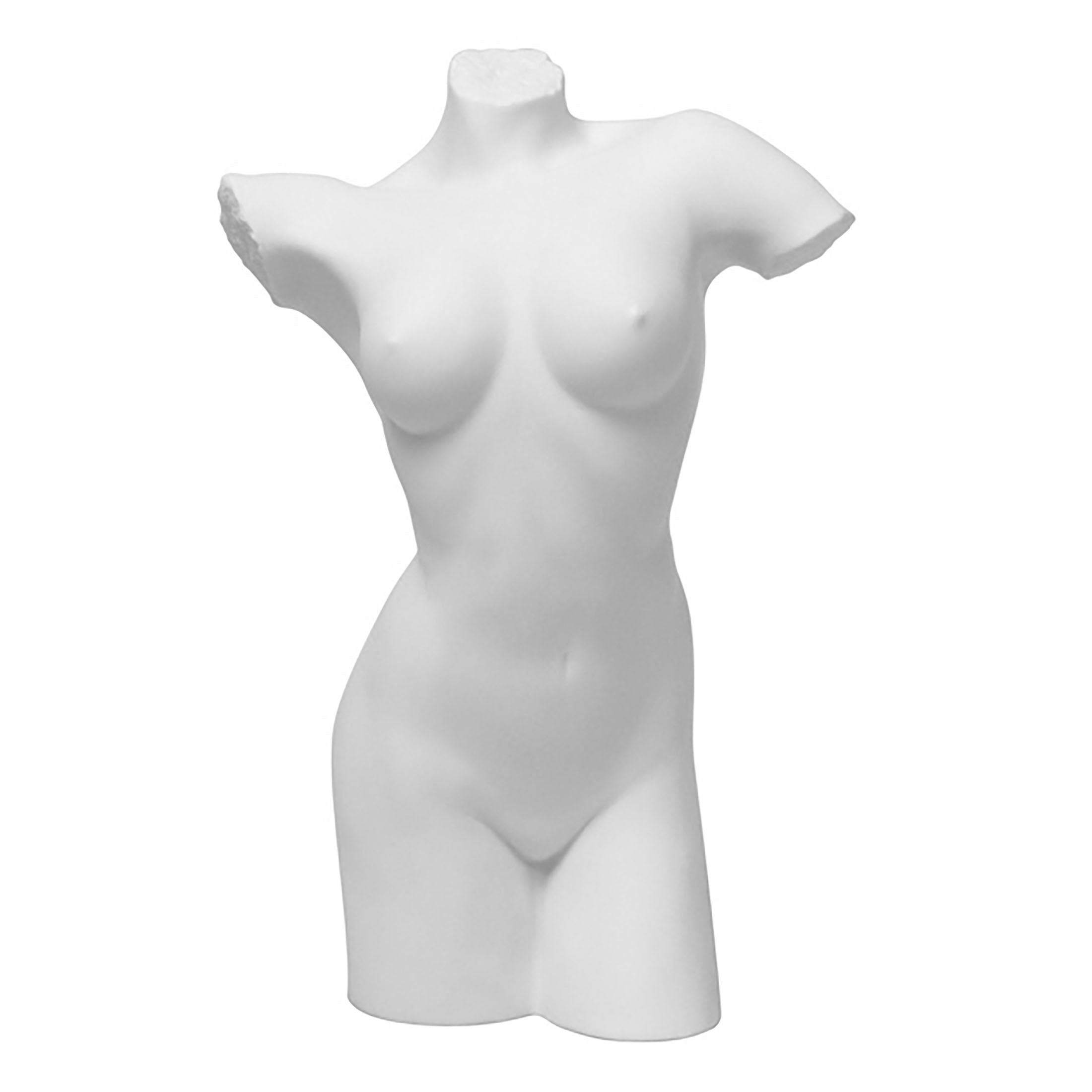 Nude Female Torso040(Matt)