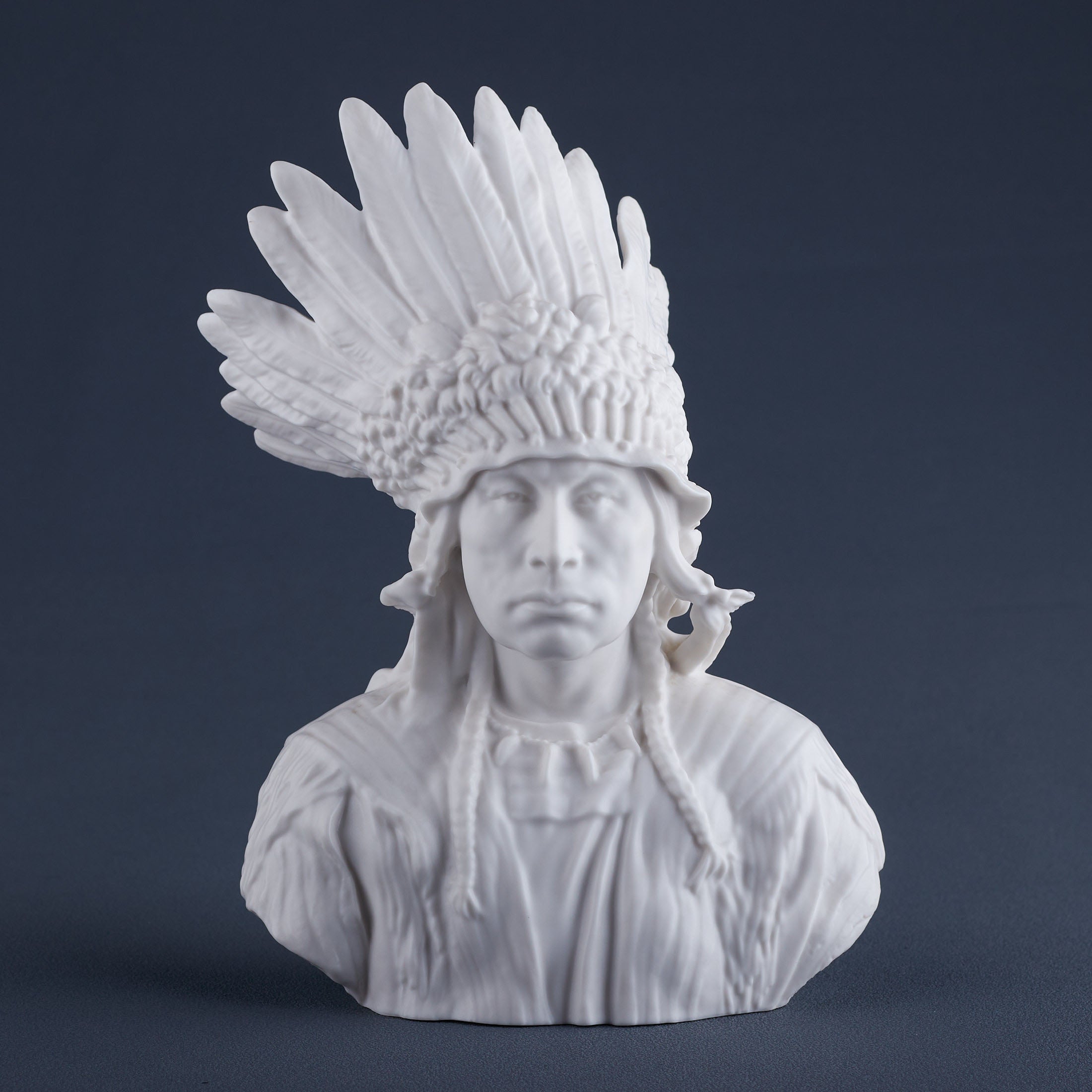 Sioux Chief Bust (Matt White)