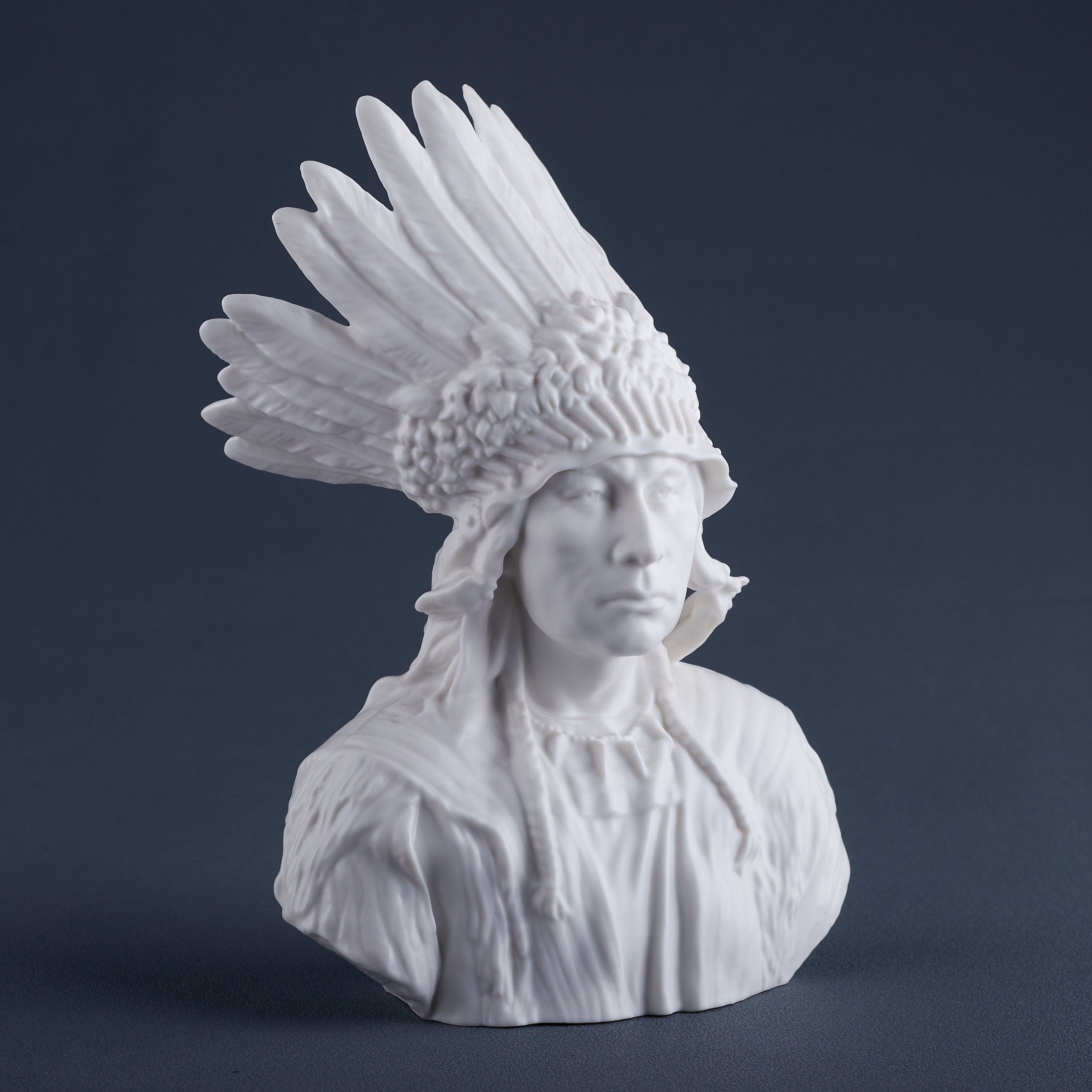 Sioux Chief Bust (Matt White)