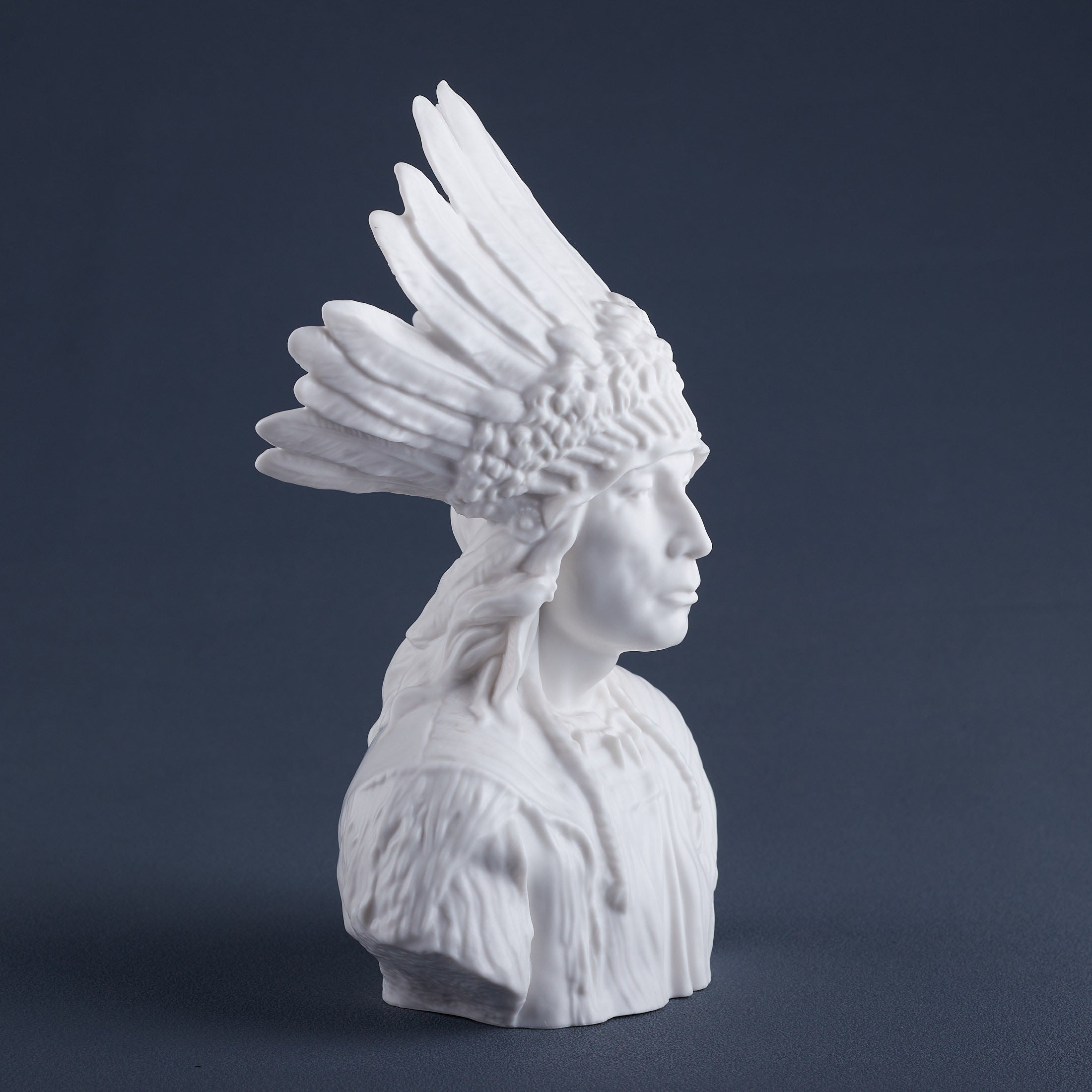 Sioux Chief Bust (Matt White)