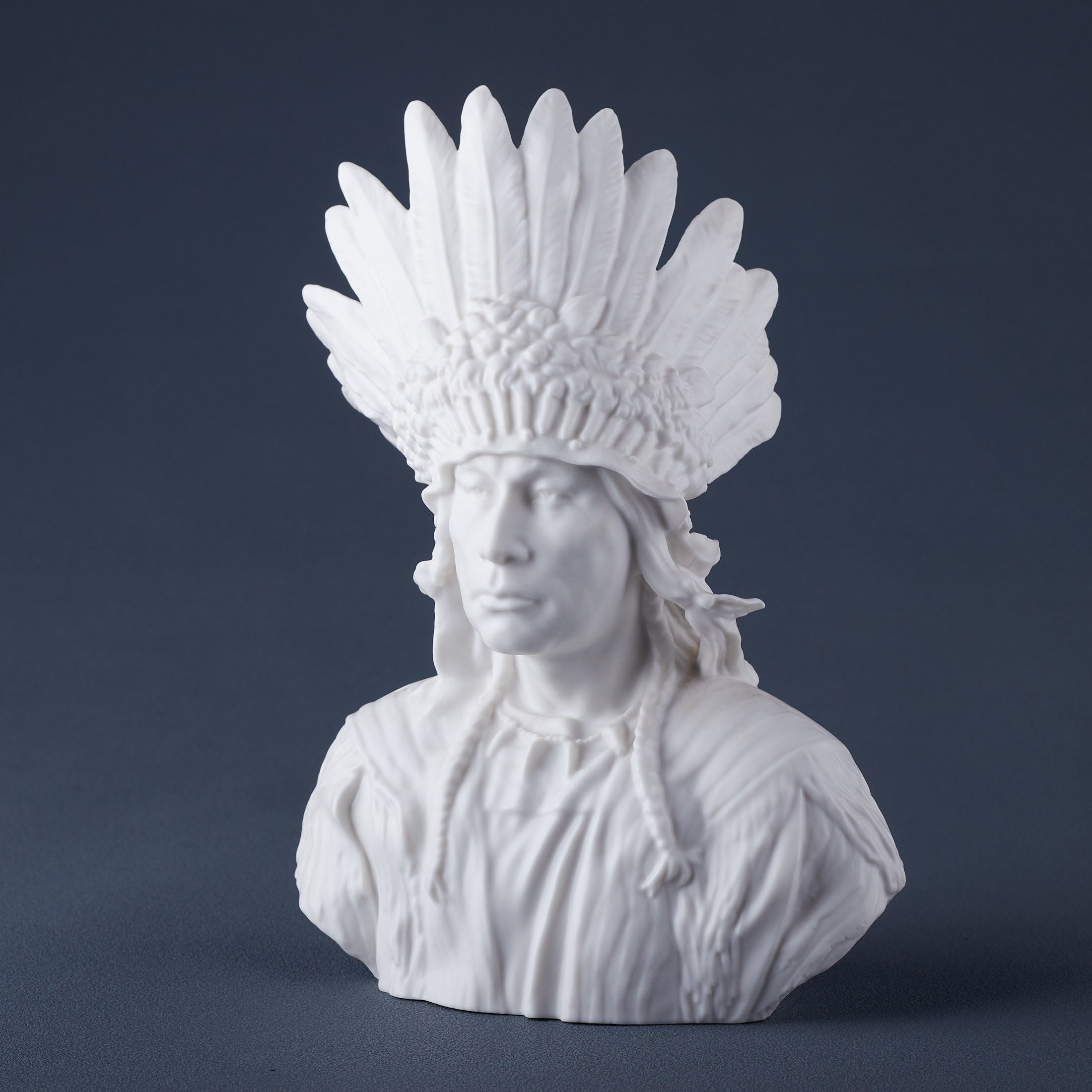 Sioux Chief Bust (Matt White)