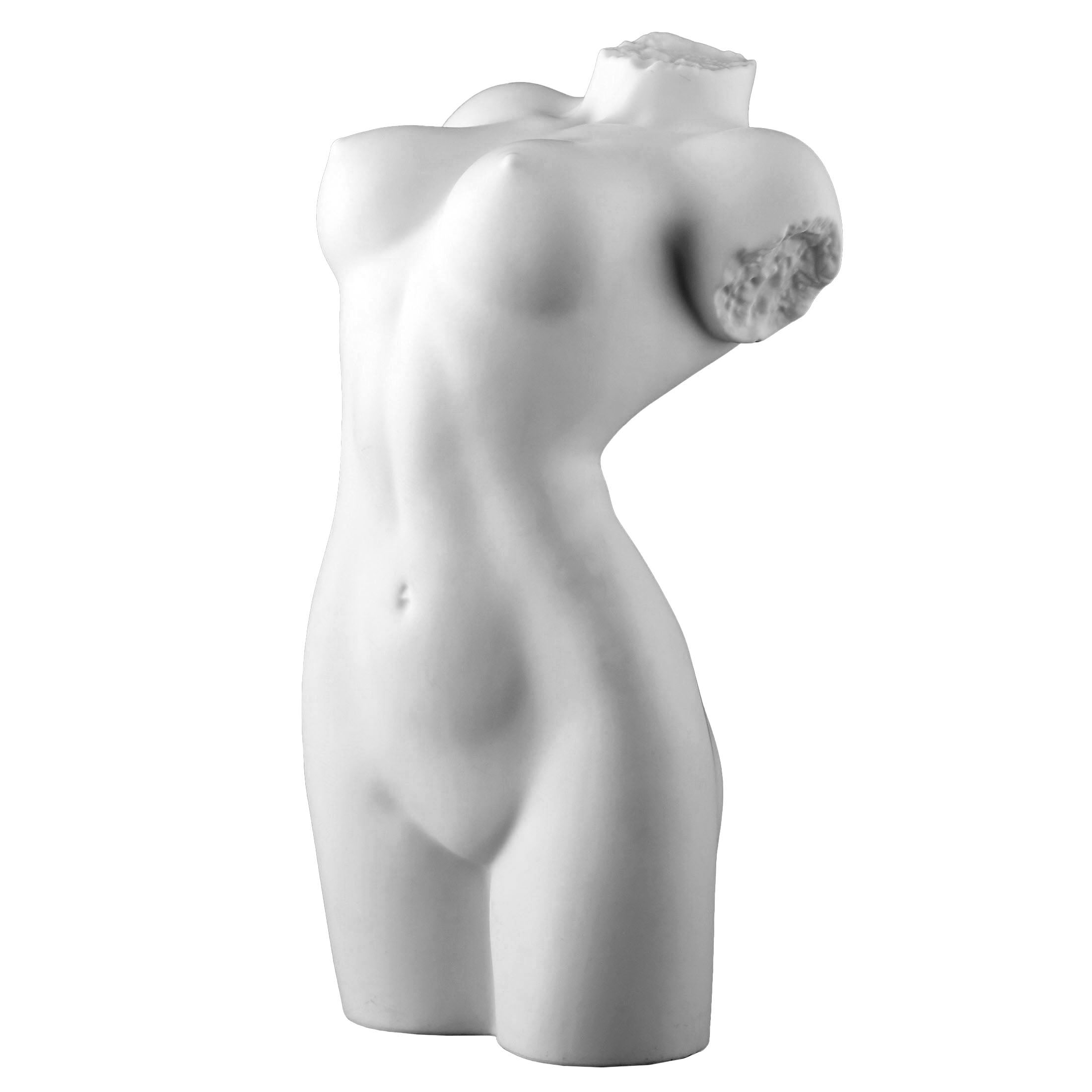 NudeFemale Torso062(Matt)