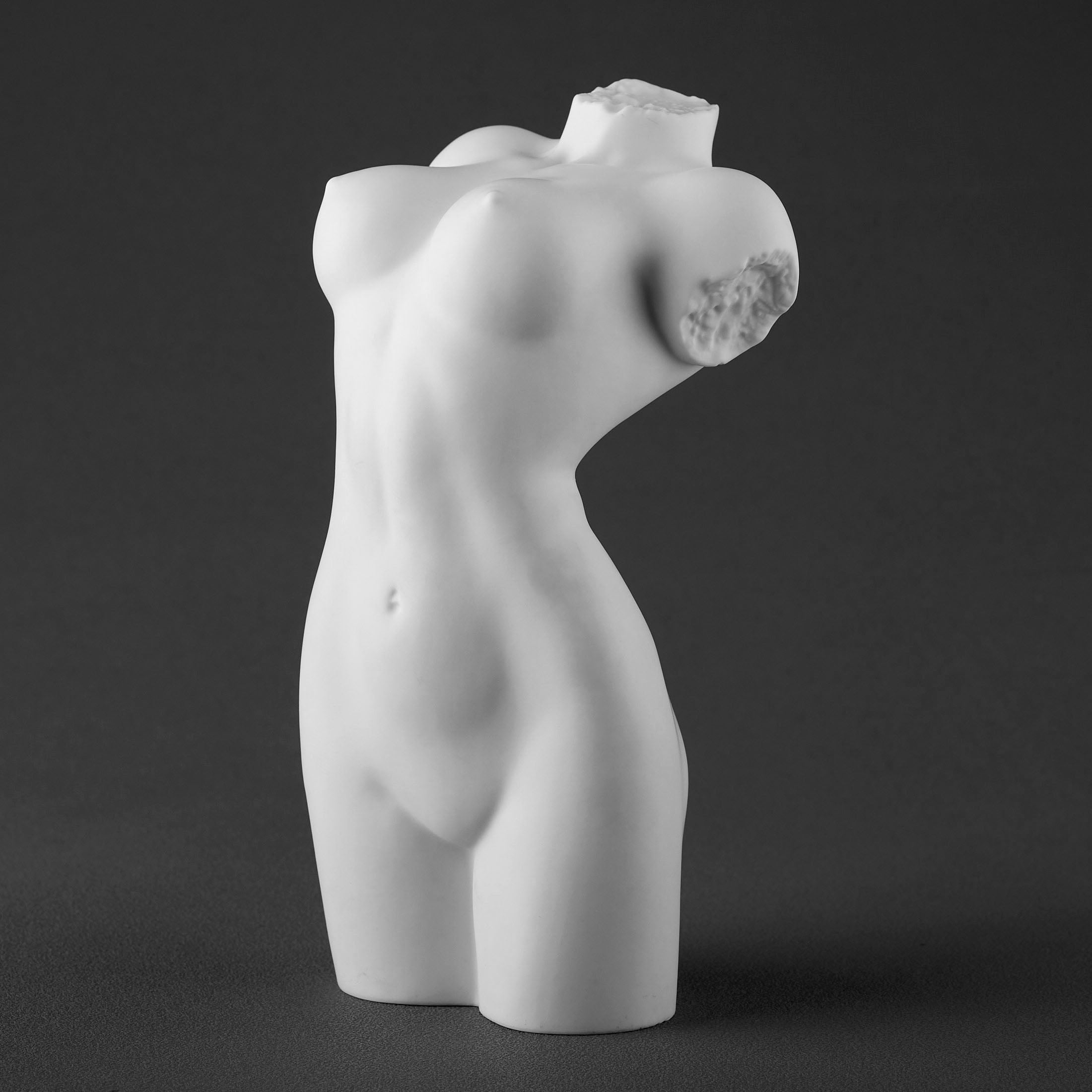 NudeFemale Torso062(Matt)