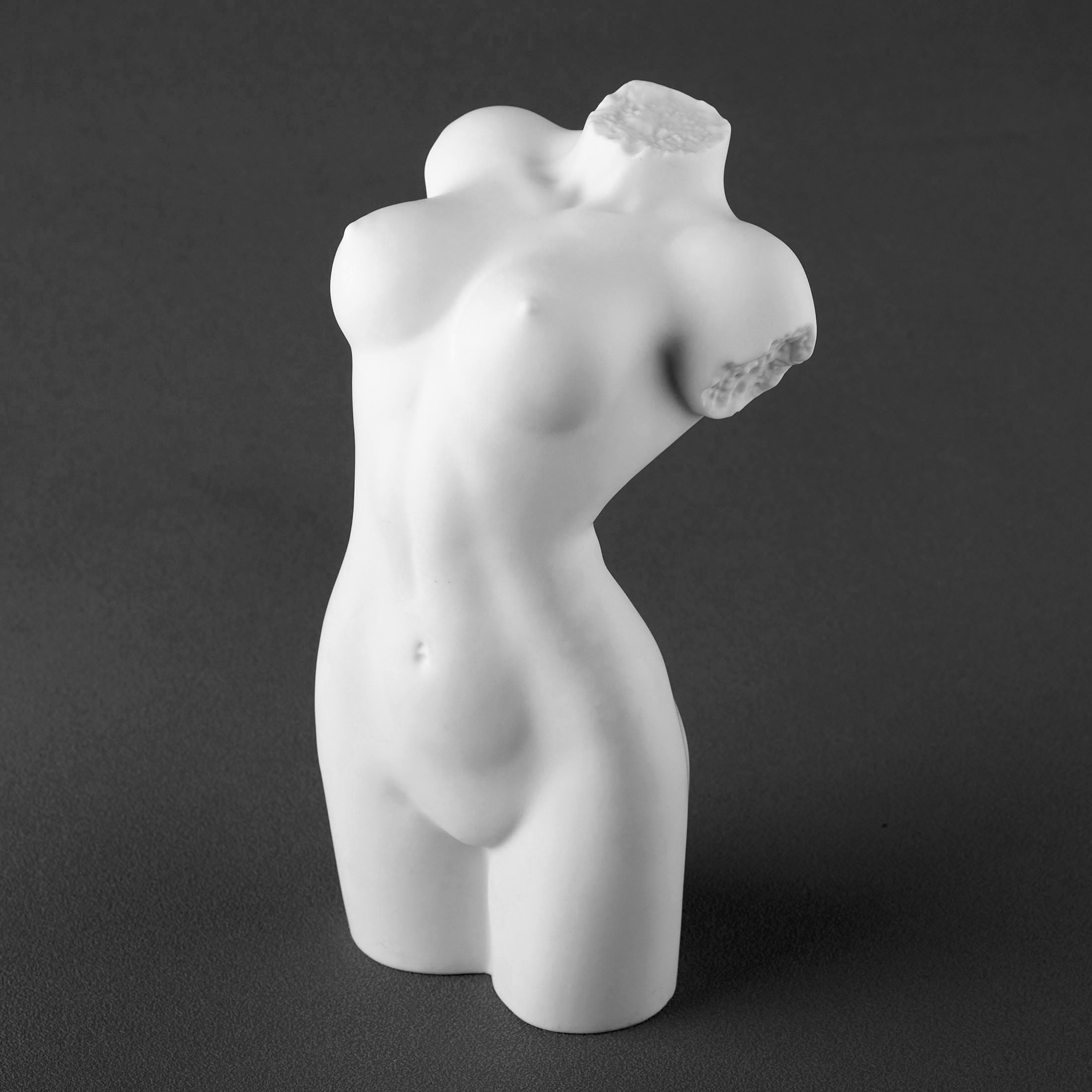 NudeFemale Torso062(Matt)